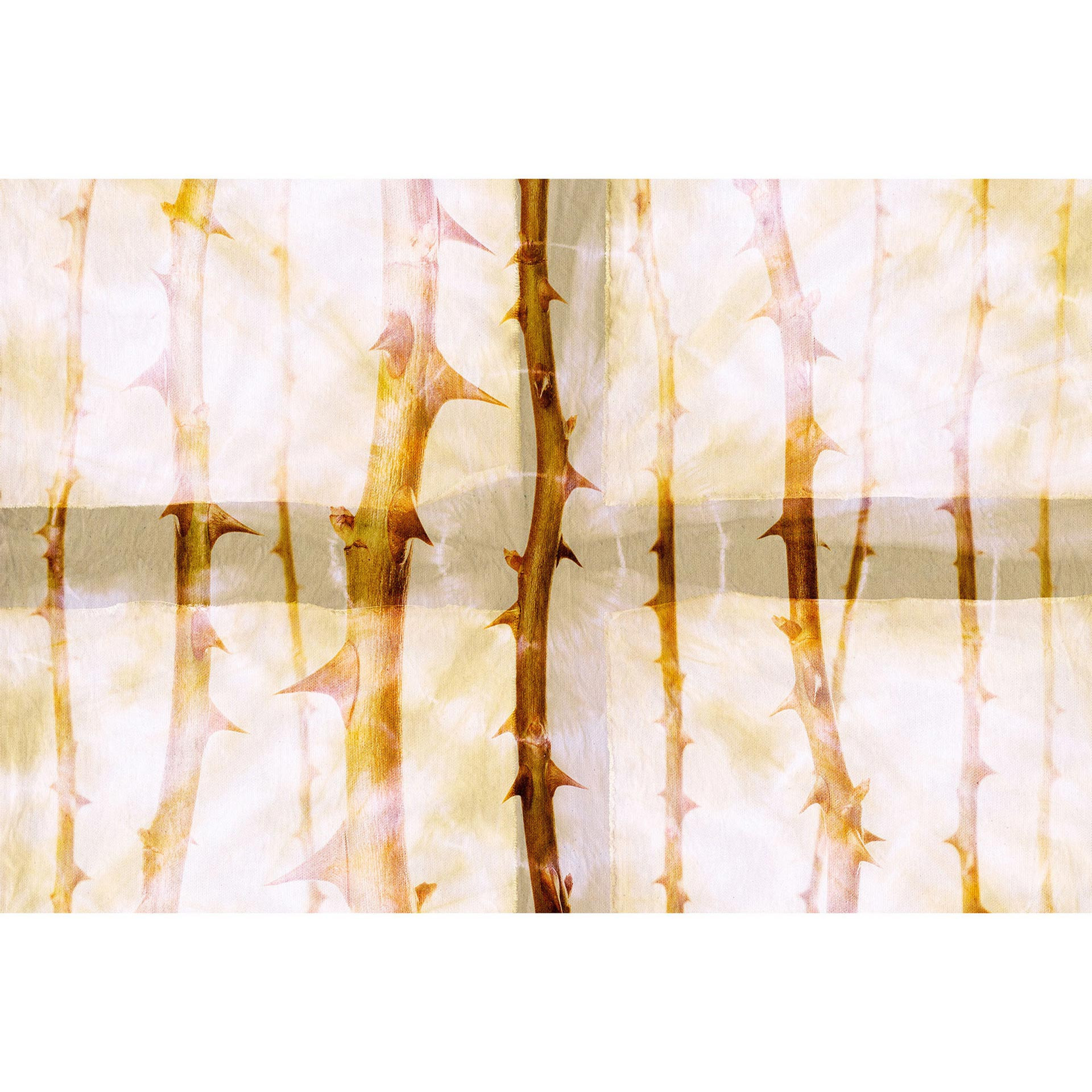 Architects Paper Fotobehang Atelier 47 Thorn Art
