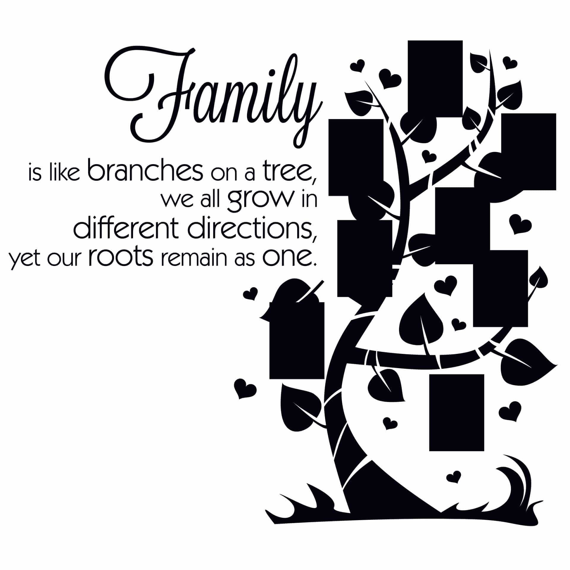 Wandtattoo Family is like branches... mit Platz für Fotos