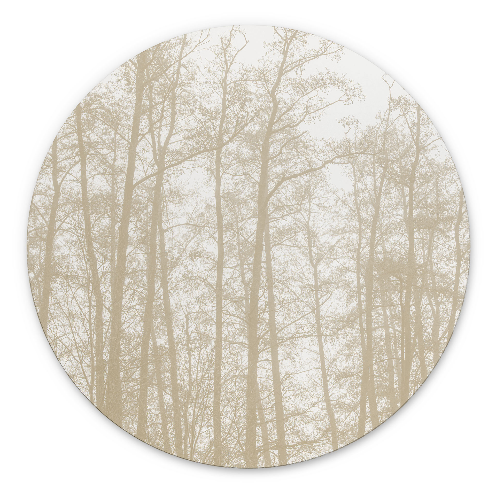 Billede Stille vinterskov - Böhmer - rund – print på aluminium (Alu-Dibond)