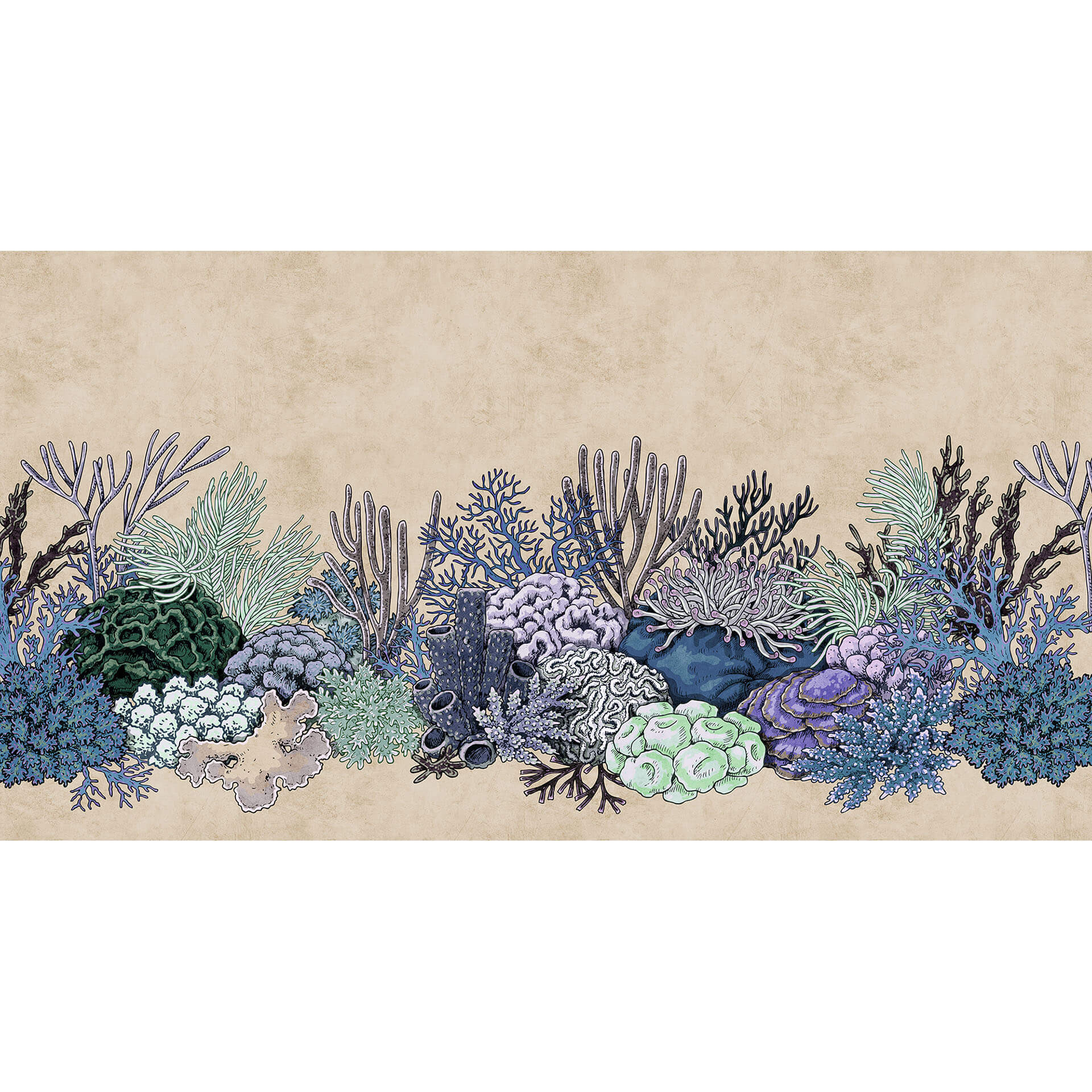 Livingwalls Fotobehang Walls by Patel 2 octopus´s garden 3