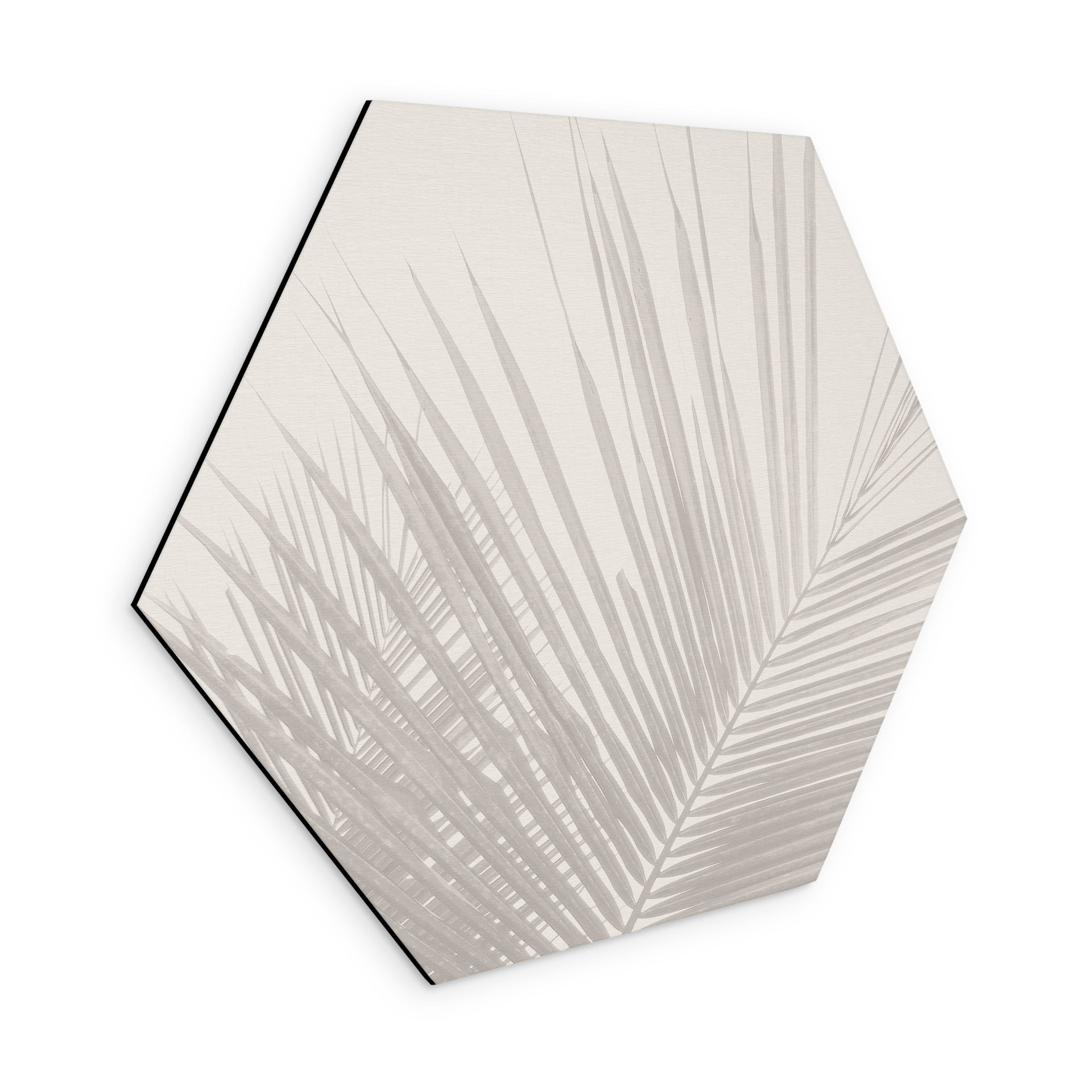 Sekskantet Billede af palmeblade i hørlook - Bloomery Decor - aluminium dibond