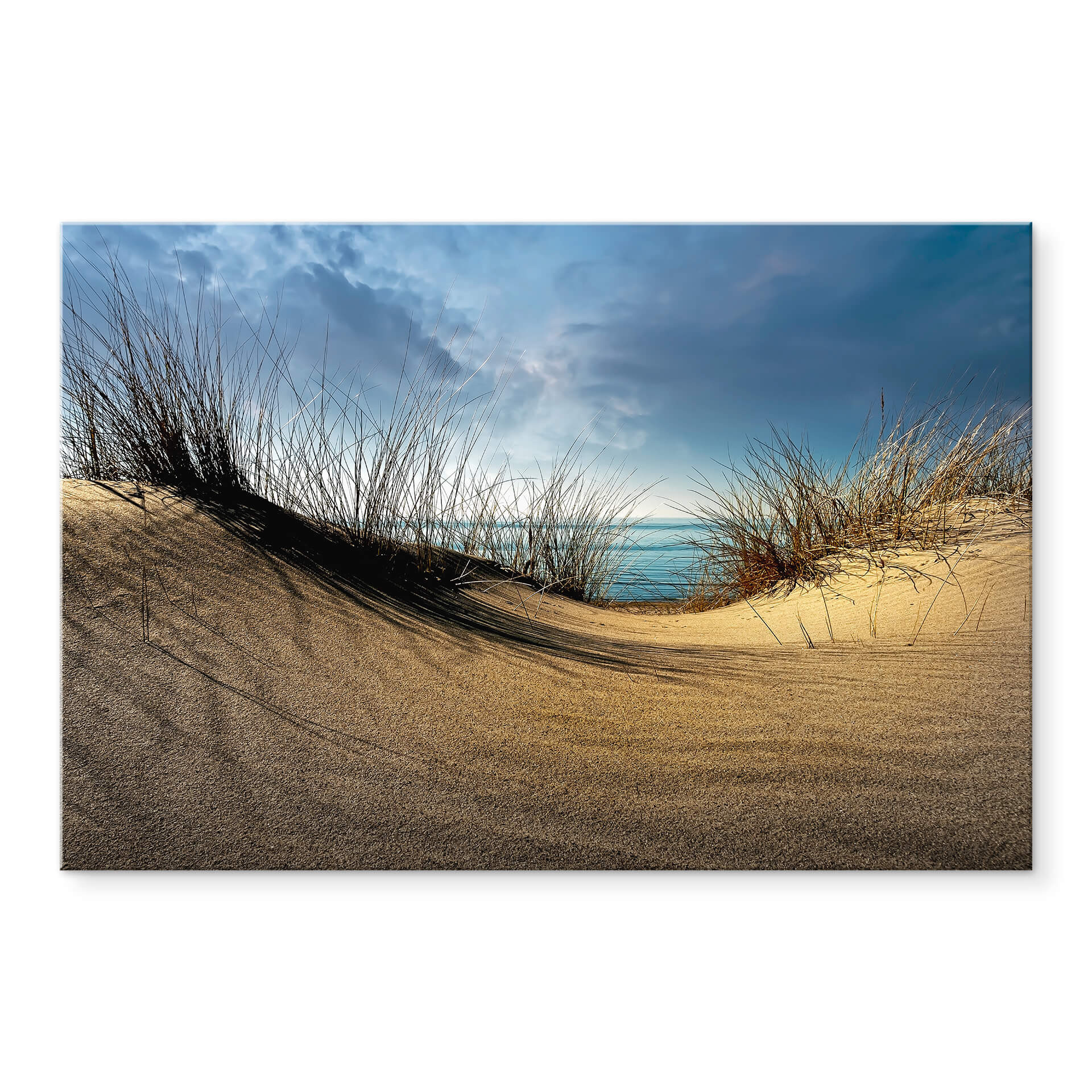 Acrylglasbild Schuurmans - Stranddünen