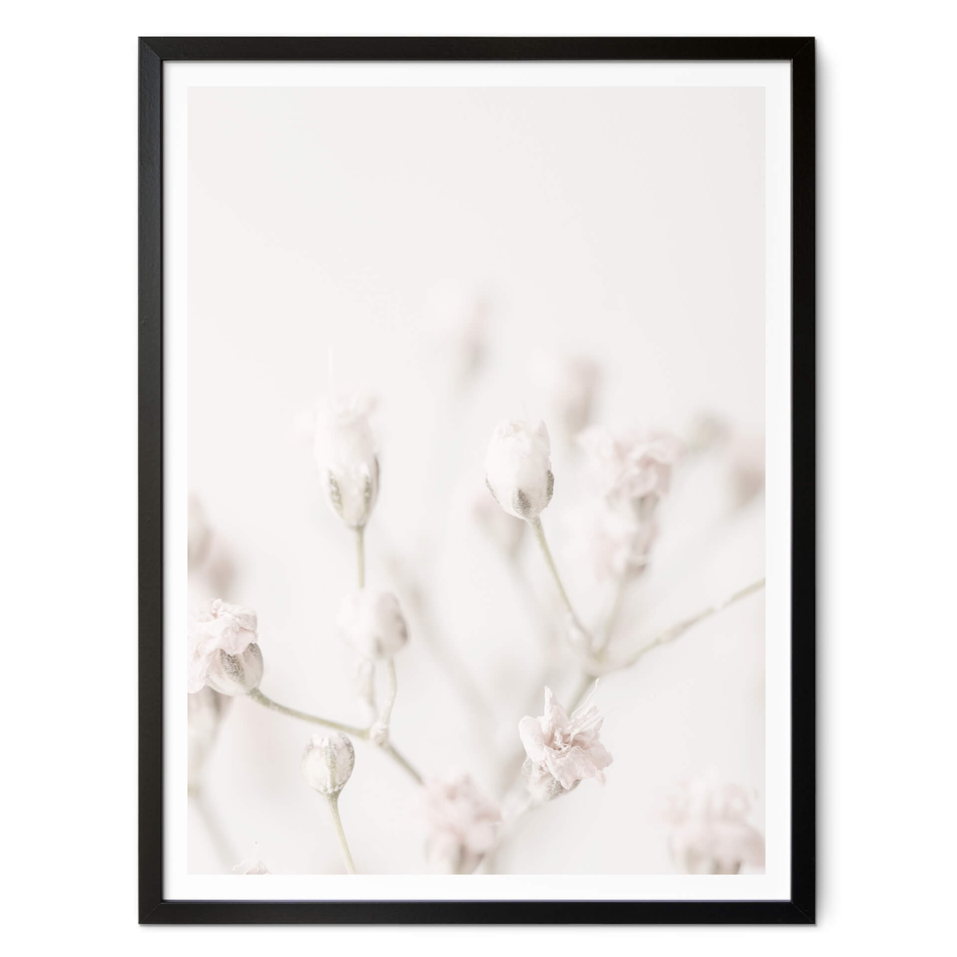 Plakat 1X Studio - Delikatne kwiaty