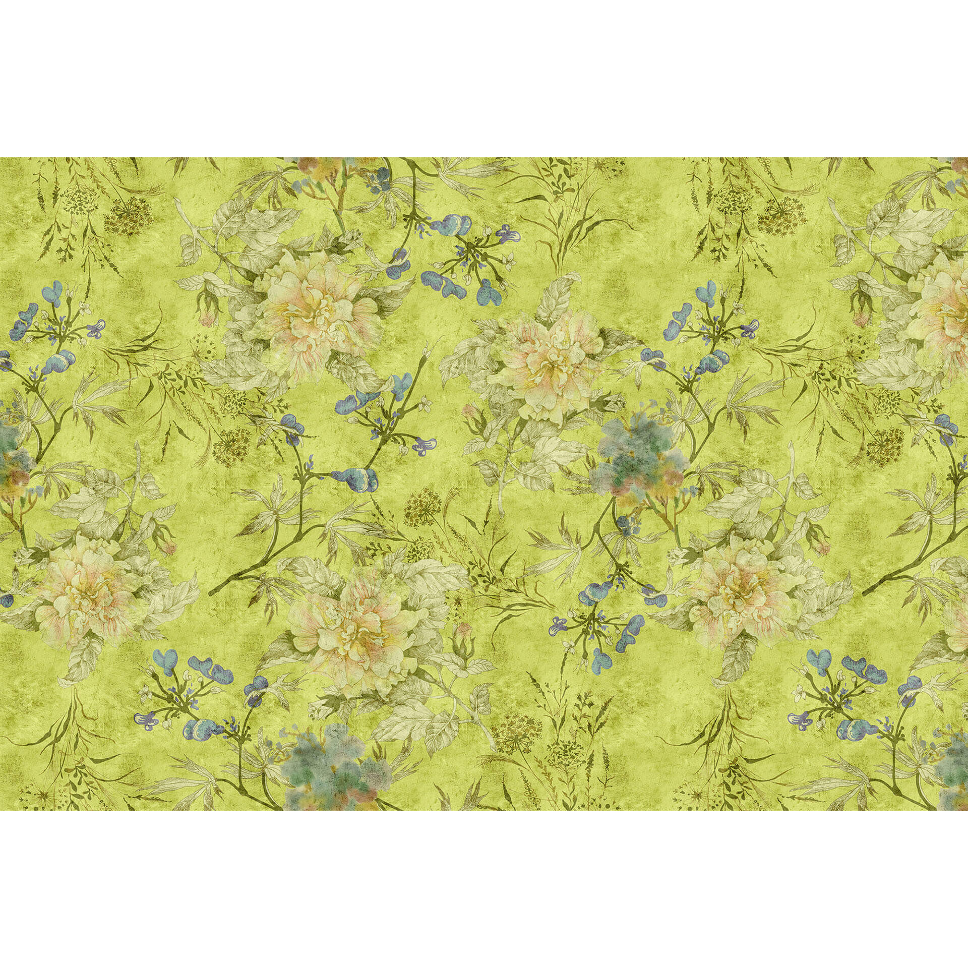 Livingwalls Fotobehang Walls by Patel 2 tender blossom 1