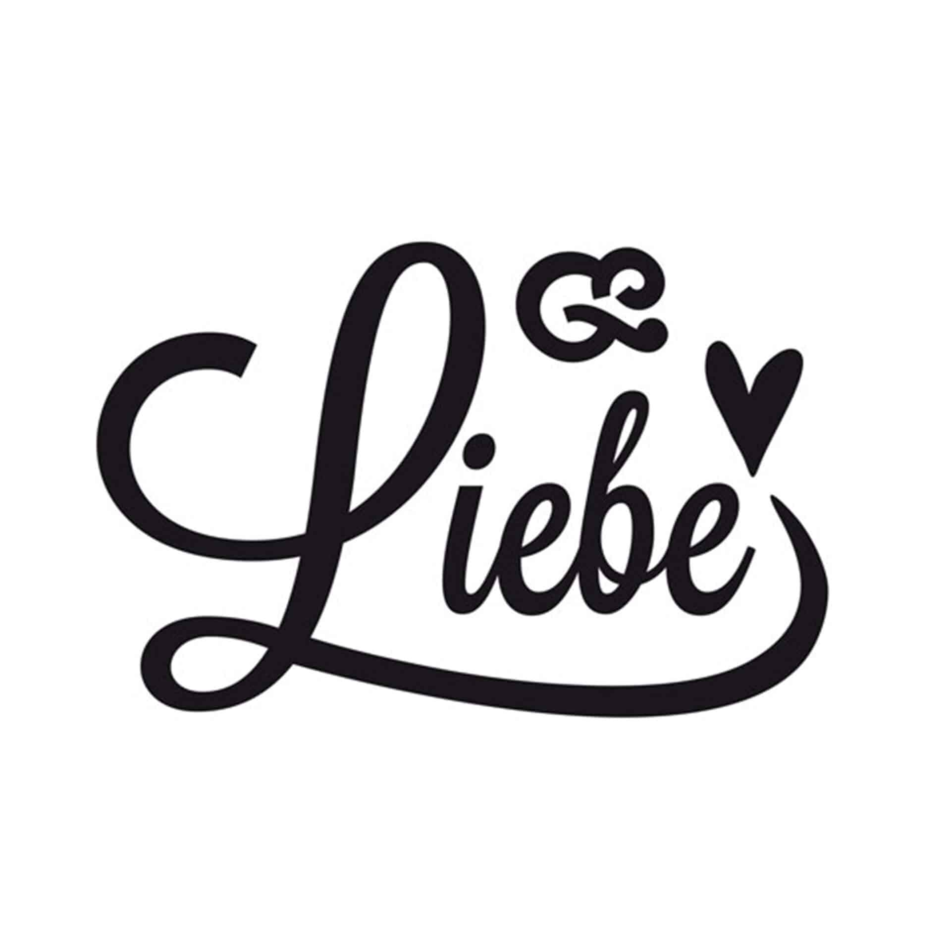 Wandtattoo Liebe ist nicht vom ersten Tag an da.. (2-farbig)