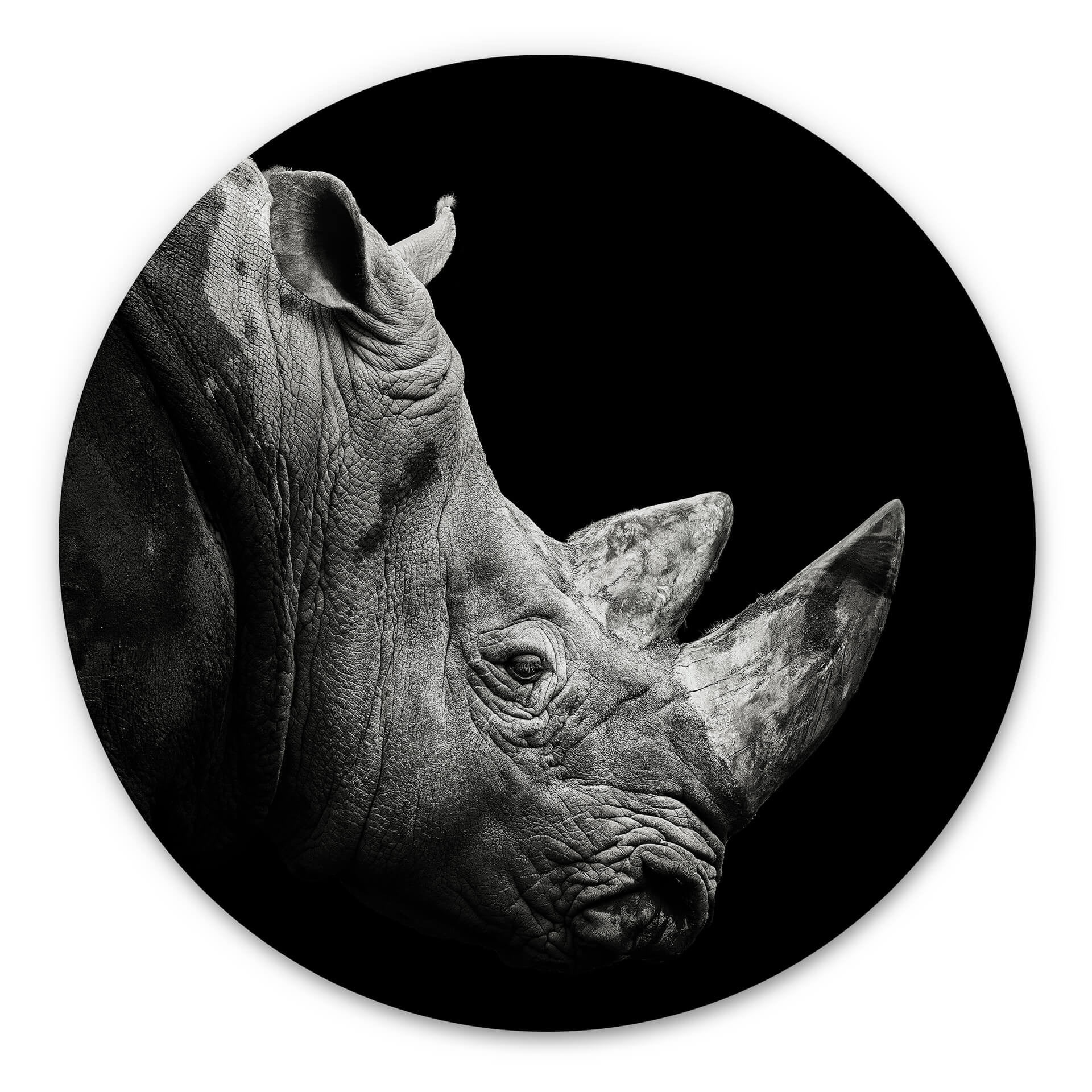 Hexagone - alu-Dibond Meermann - Le rhinocéros - Rond