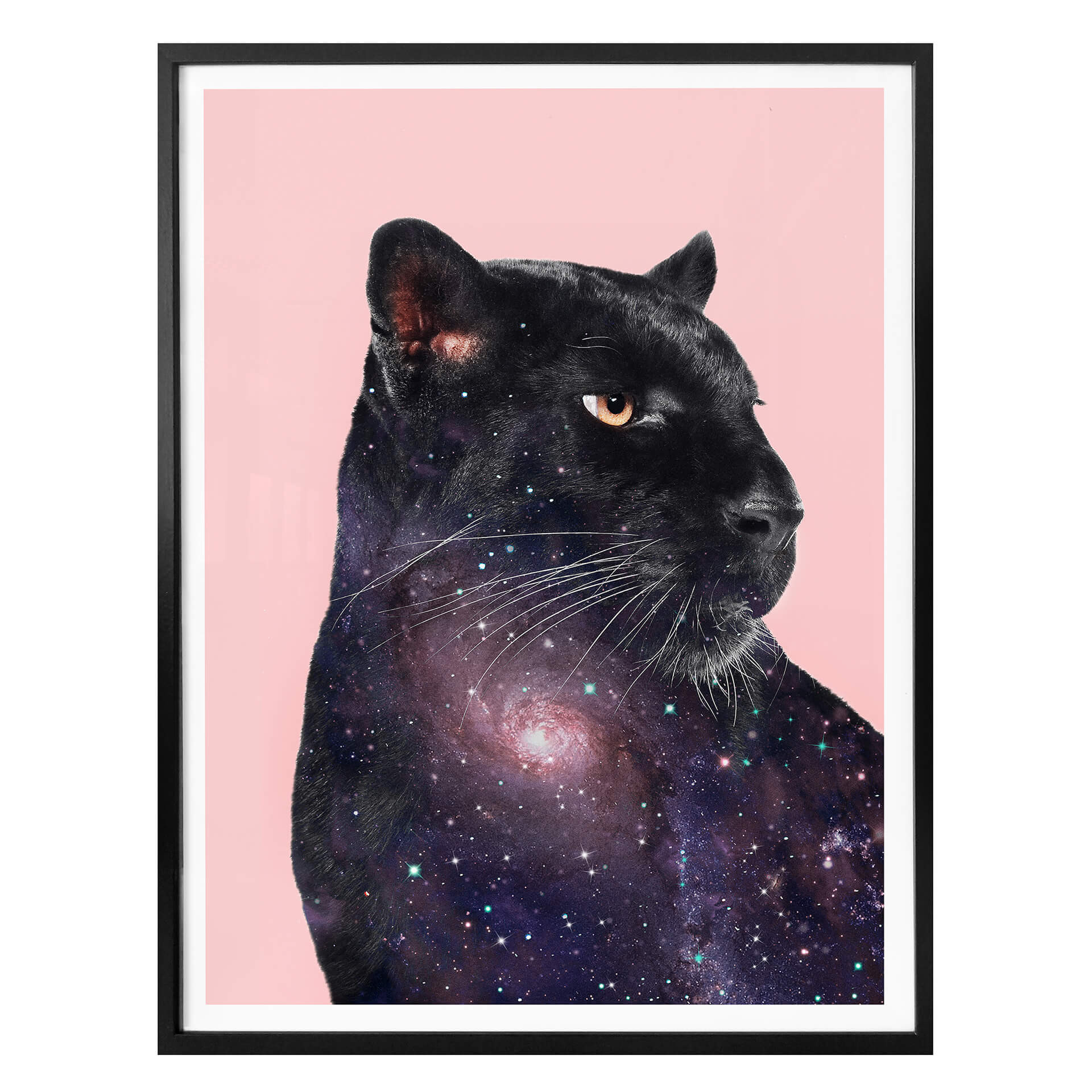 Plakat Loose - Galaxy Panther
