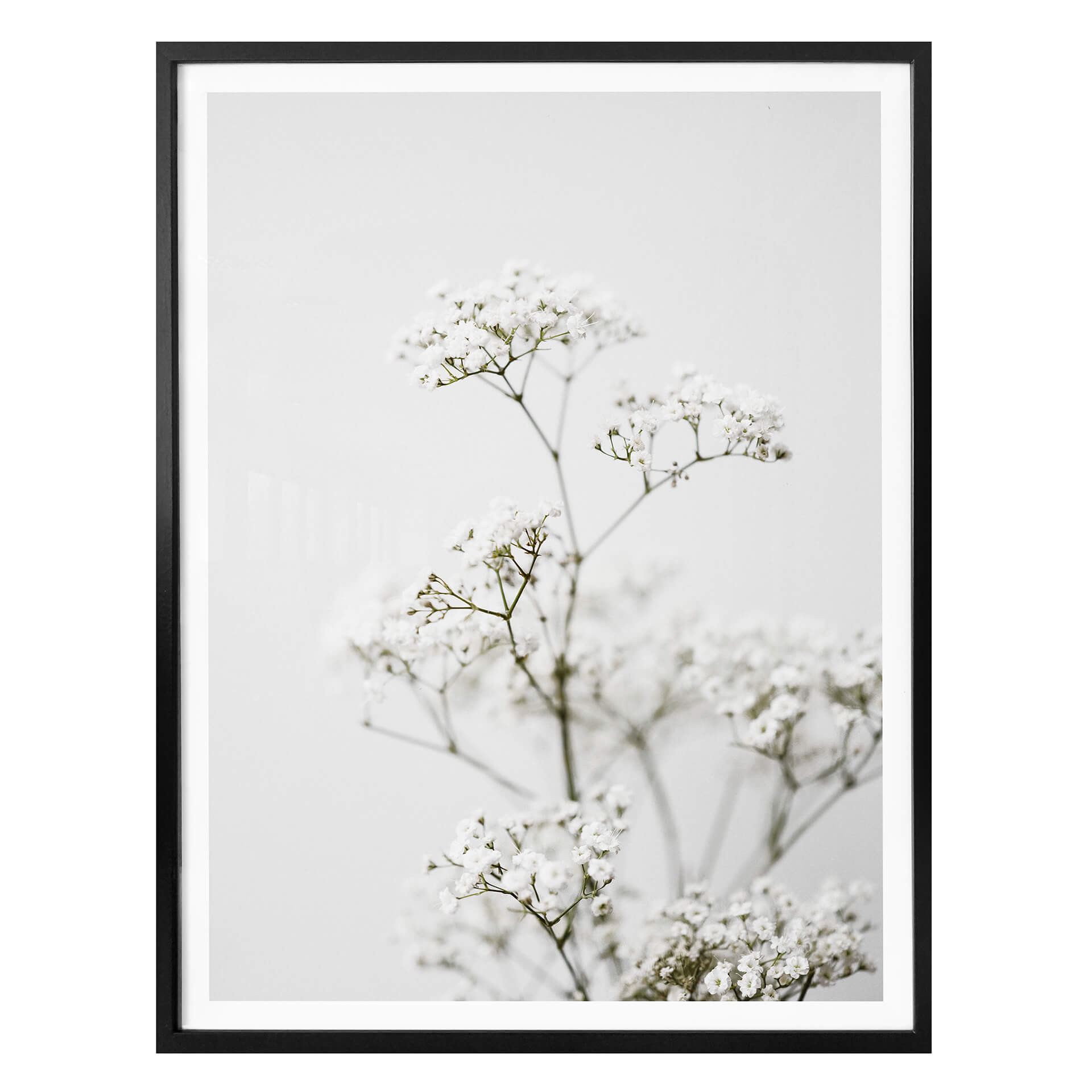 Plakat Annie - trybula łąkowa