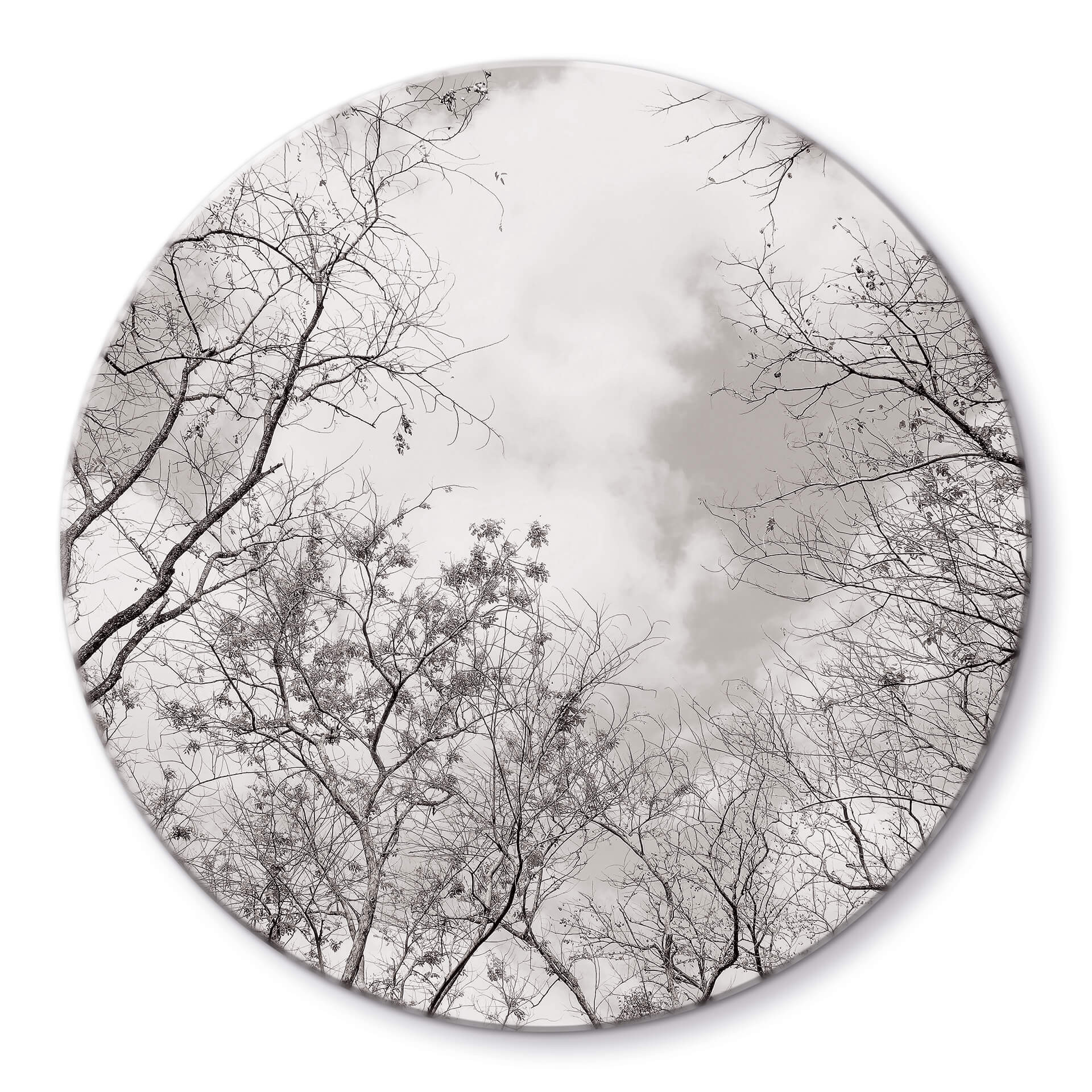Tableau en verre Cimes des arbes dans le ciel - Rond