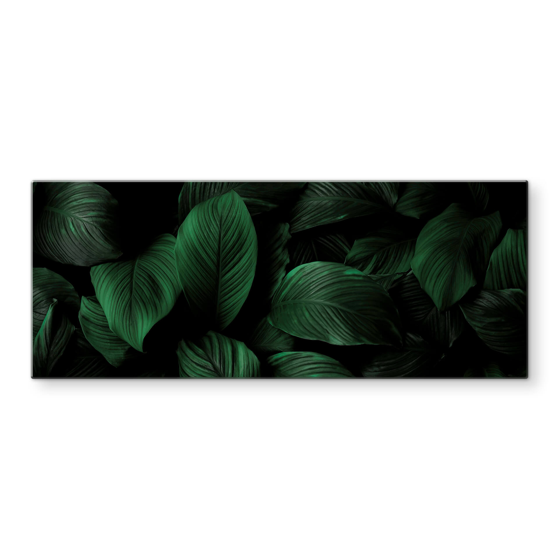 Panel szklany do kuchni Tropikalne Liście Lilii - Panorama