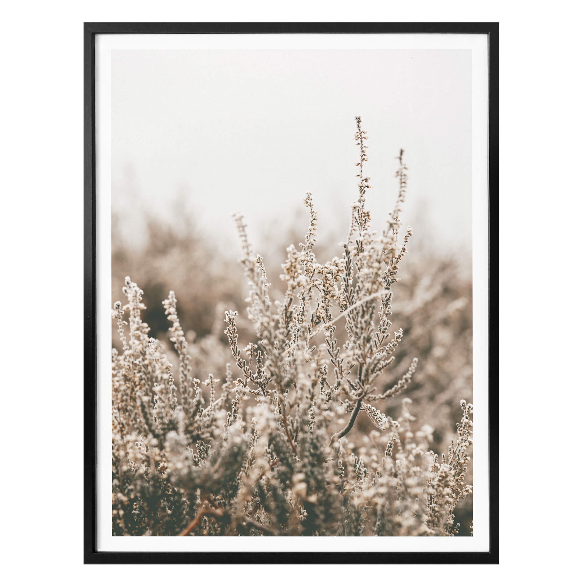Plakat Annie - Trawy