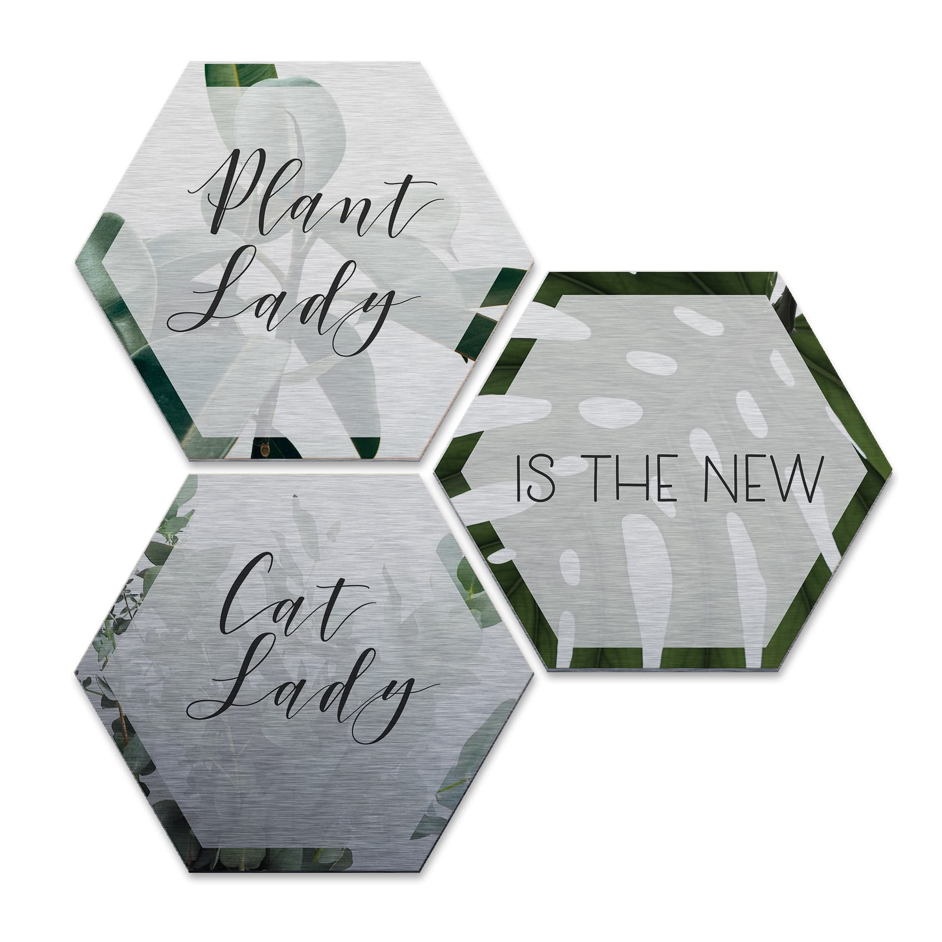 Hexagone - Alu-Dibond-Effet argenté - Plantlady is the new Catlady (Set de 3)