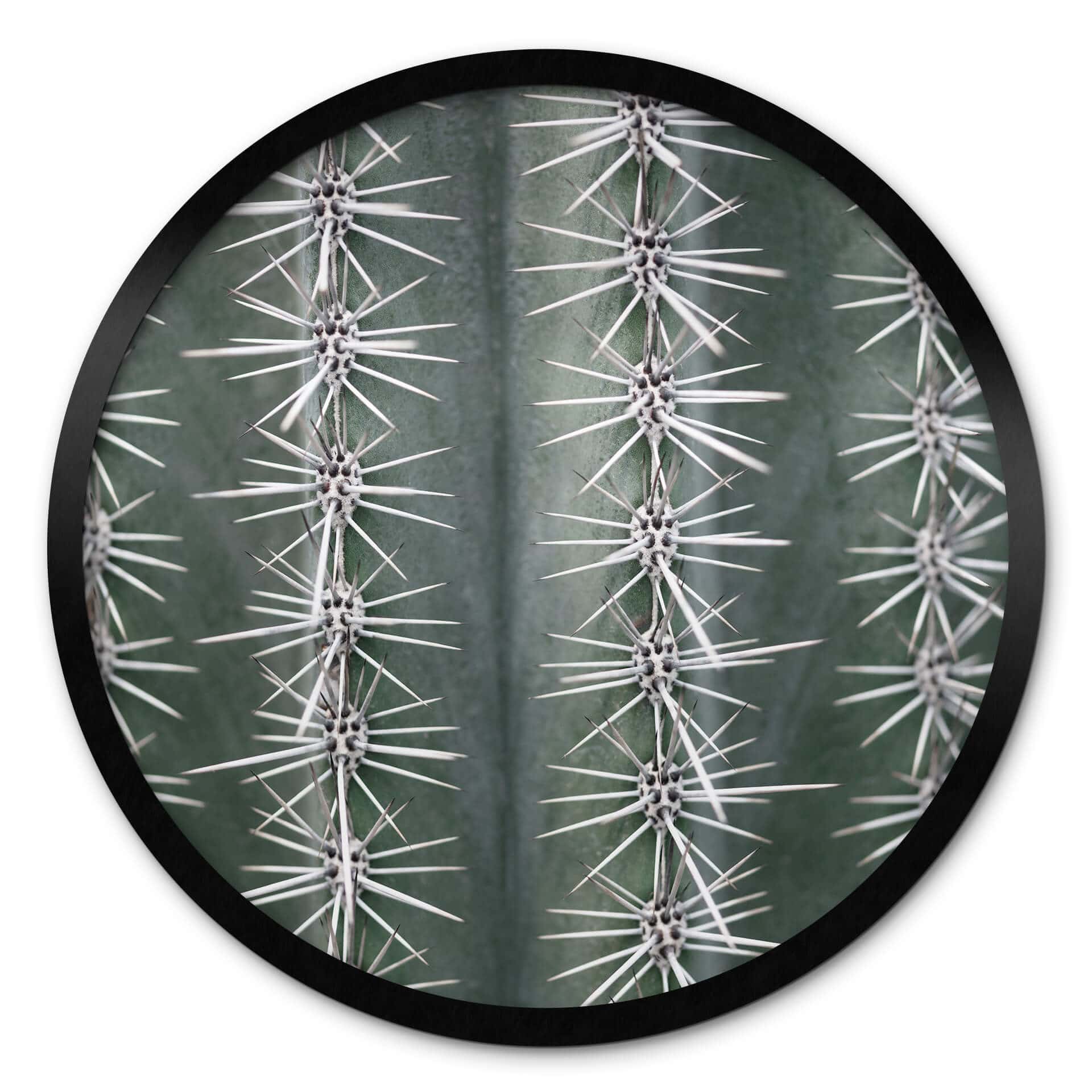 Poster 1X Studio - Cactus