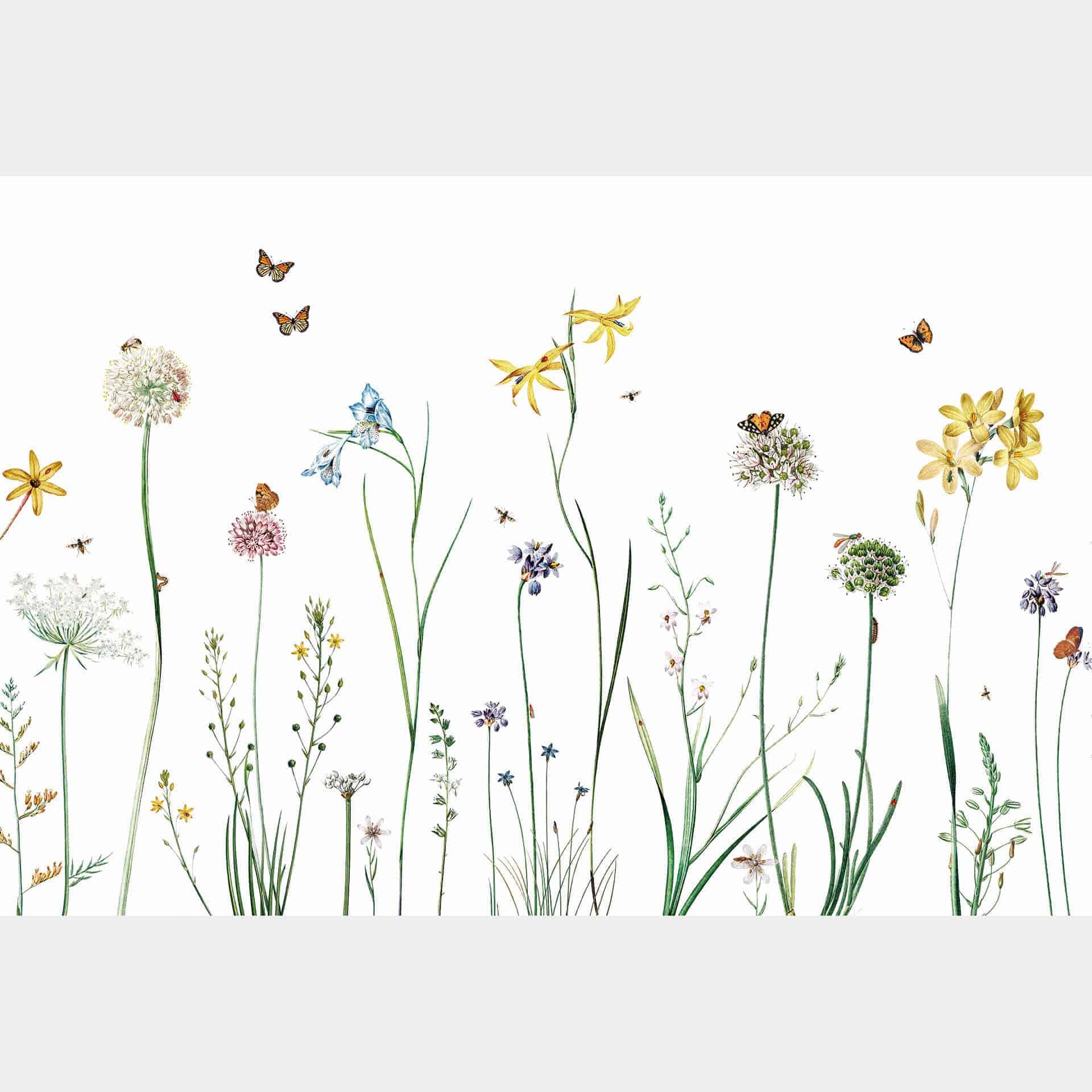 Fotobehang Sir Edward - Butterfly Meadow