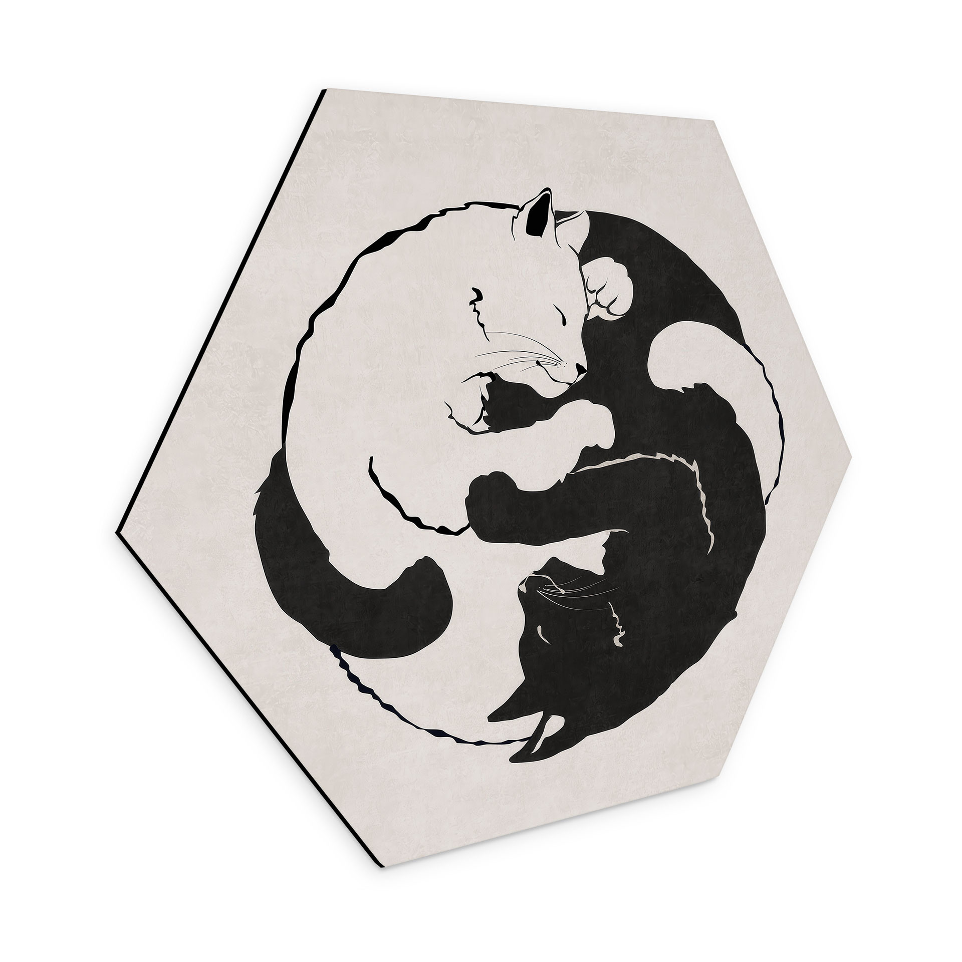 Hexagon Dibond Katte Ying & Yang - Tunaboylu