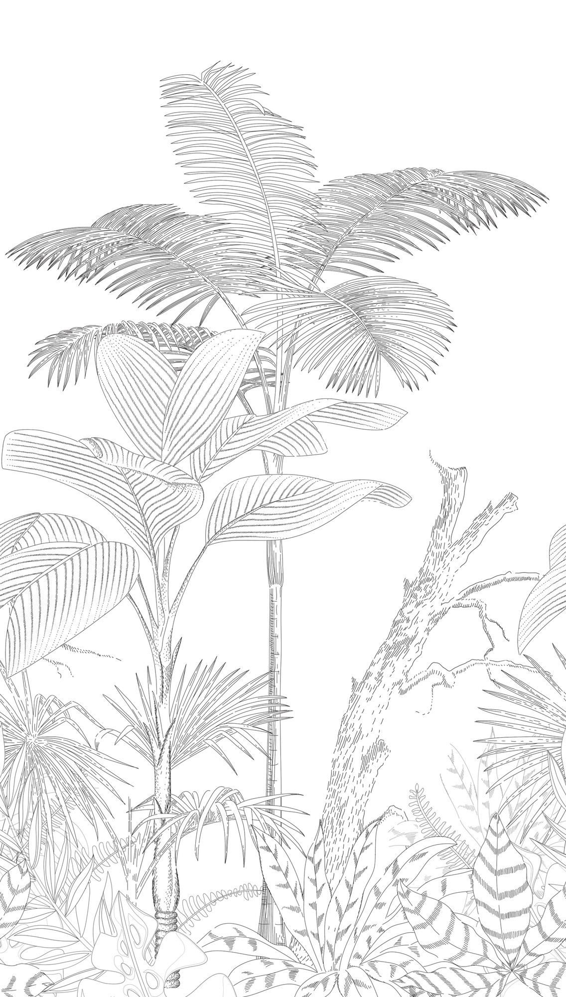 behang jungle zwart wit - vliesbehang botanisch Livingwalls - mat en glad