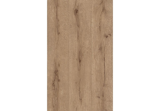 Rasch Holzoptik Vliestapete Black Forest 2016 Holz braun