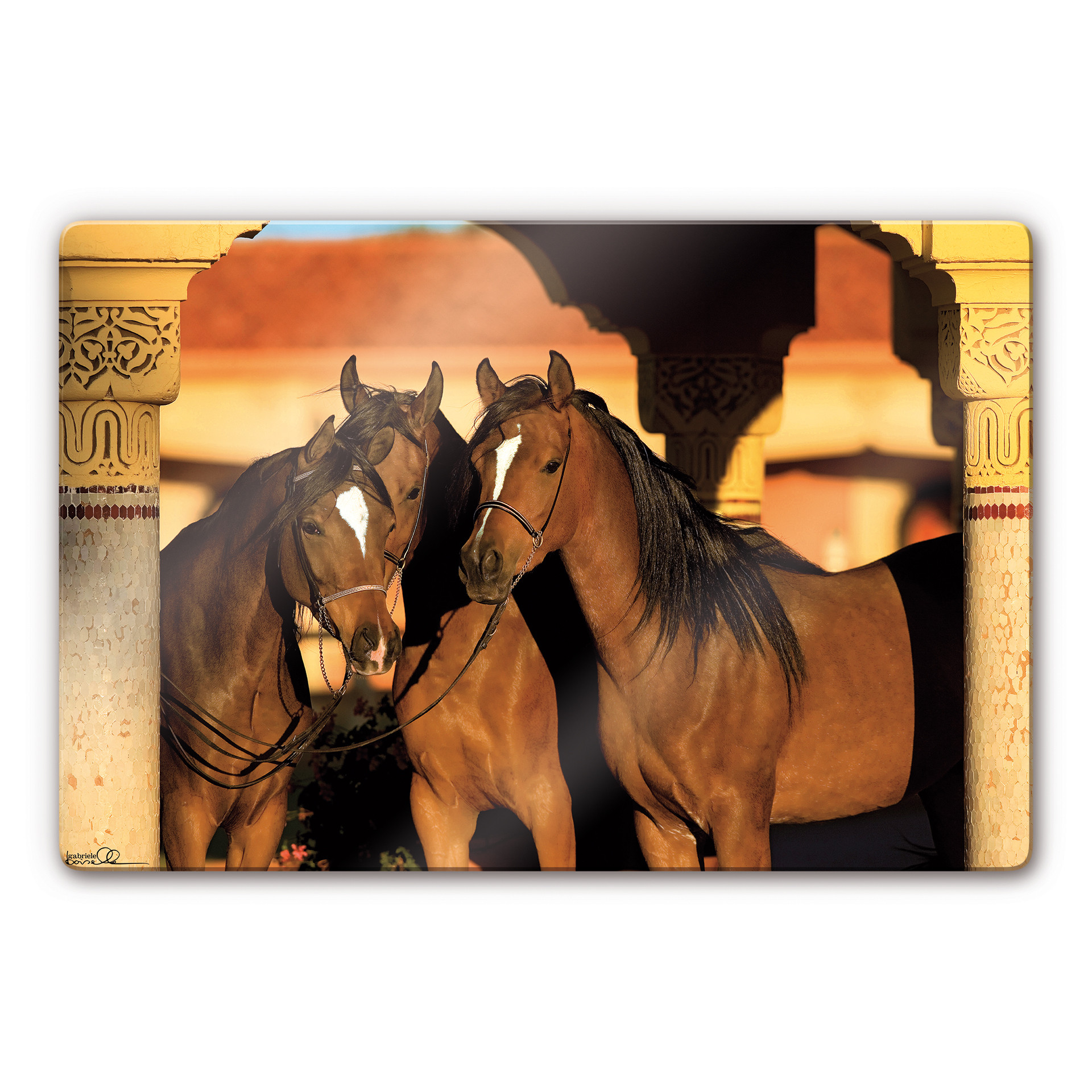 Tableau en verre - Boiselle - Jument pur sang arabe