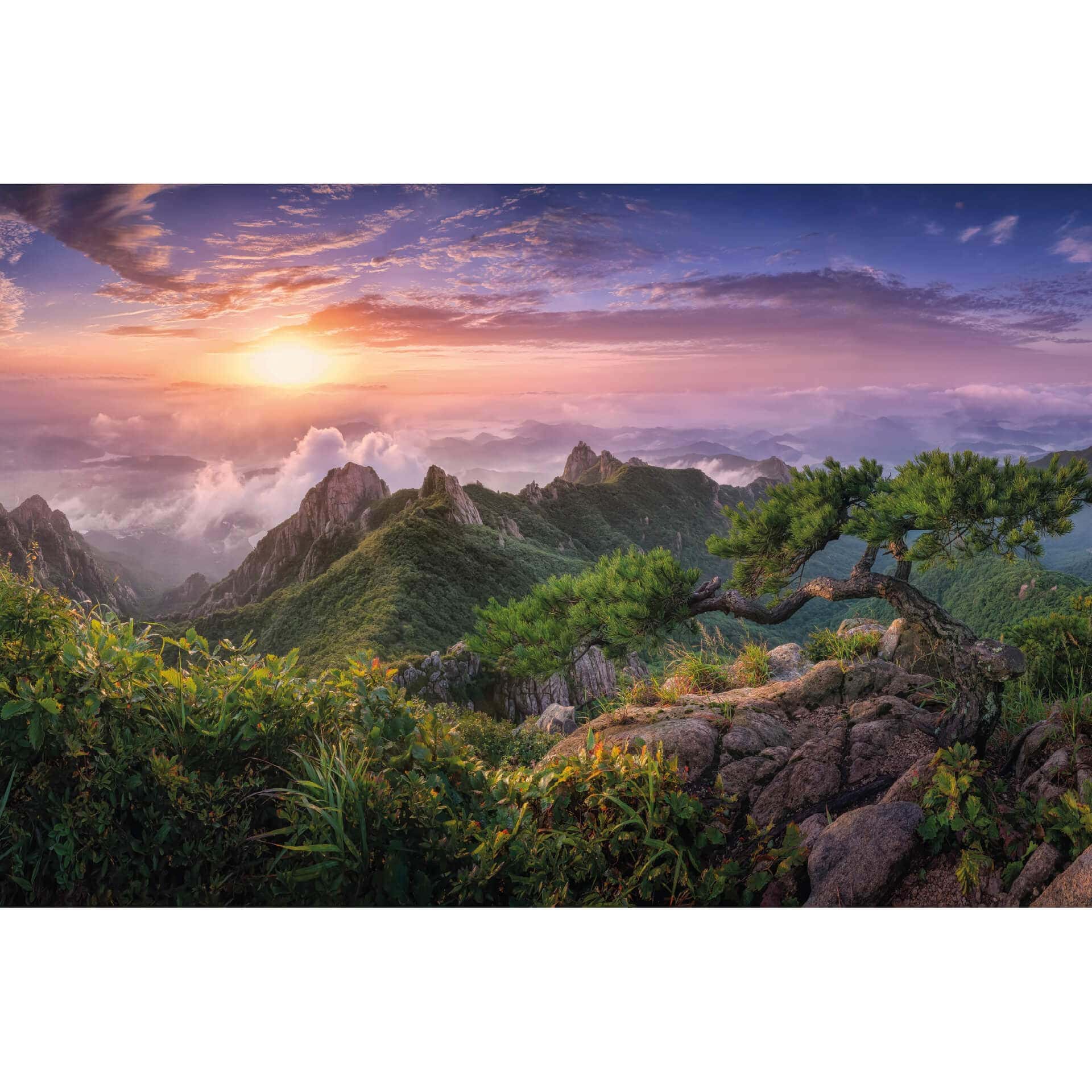 Papier peint photo Seo - Paysage de montagne verdoyant