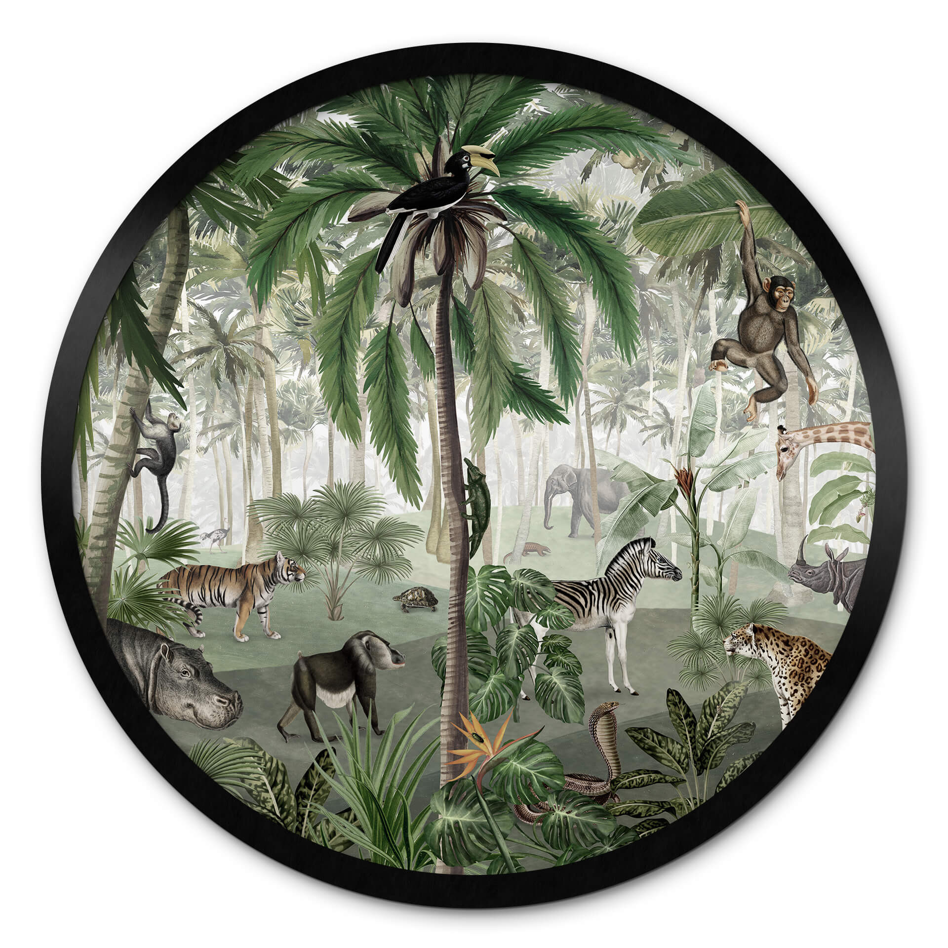 Poster Kikki Belle - Objets cachés de la jungle