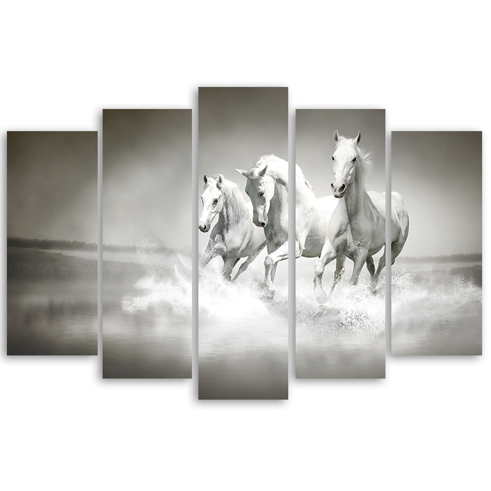 5 stykke lærredsprint, hvide heste galop