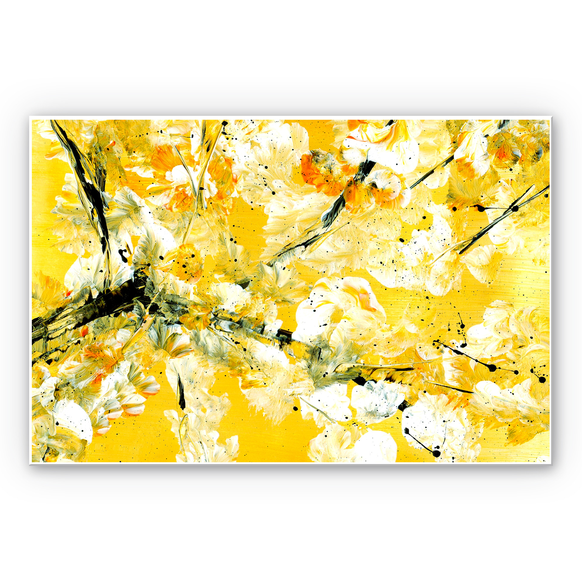 Tableau Forex - Niksic - Temps de floraison