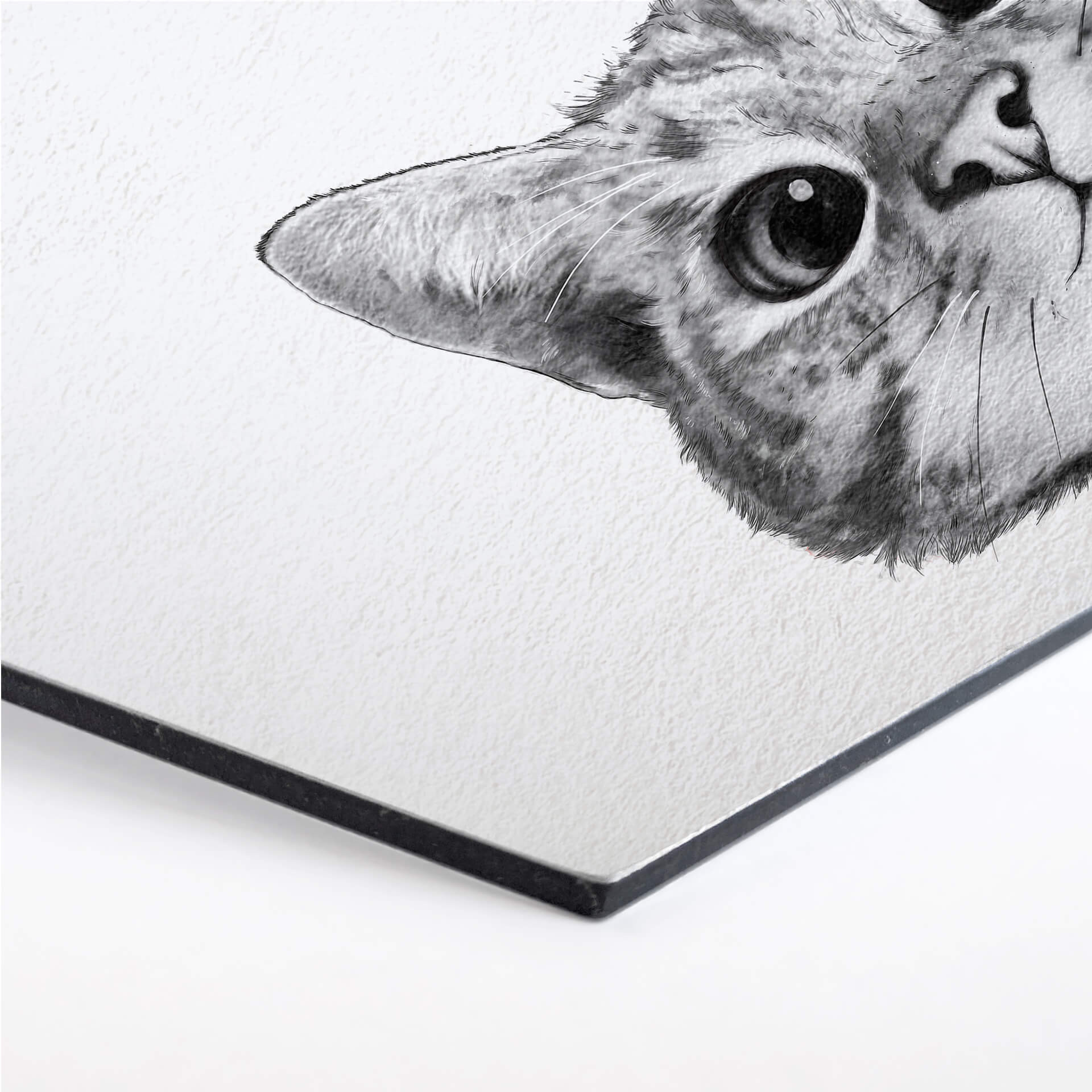 Hexagon - Alu-Dibond Graves - Sneaky Cat