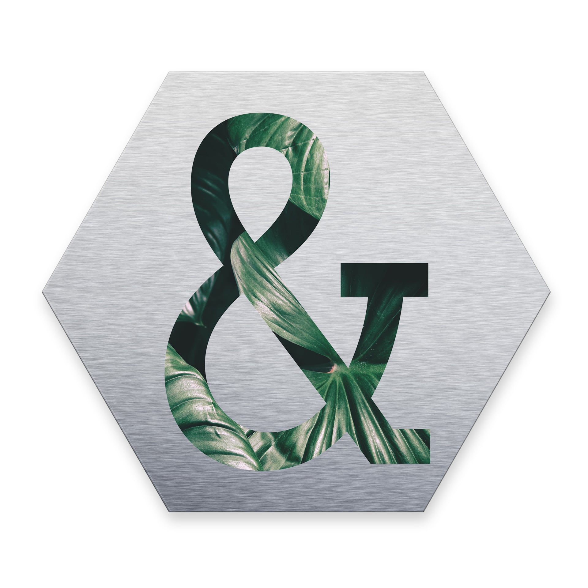 Hexagon bogstaver - Alu-dibond Sølv, Jungle "&"