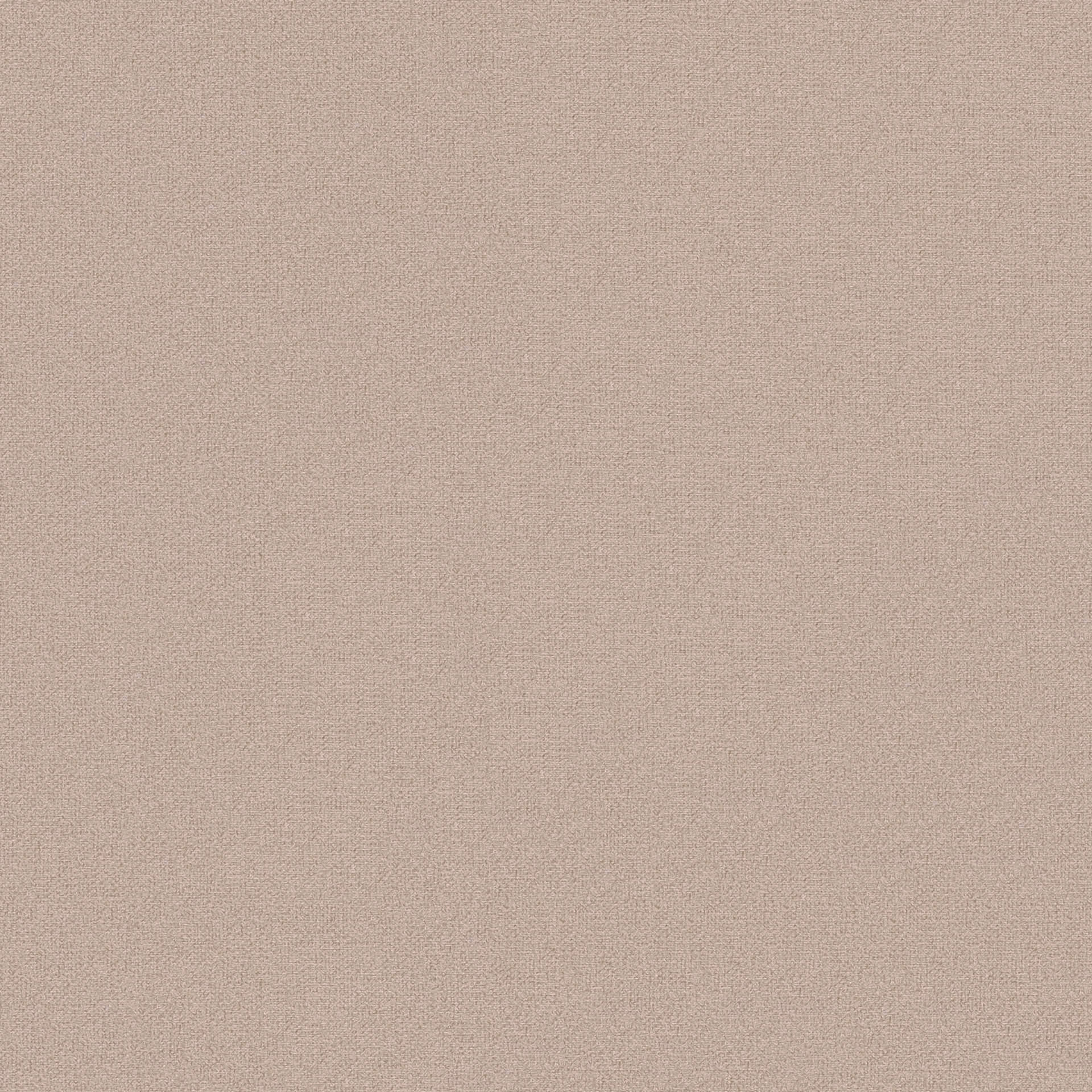 Próbki