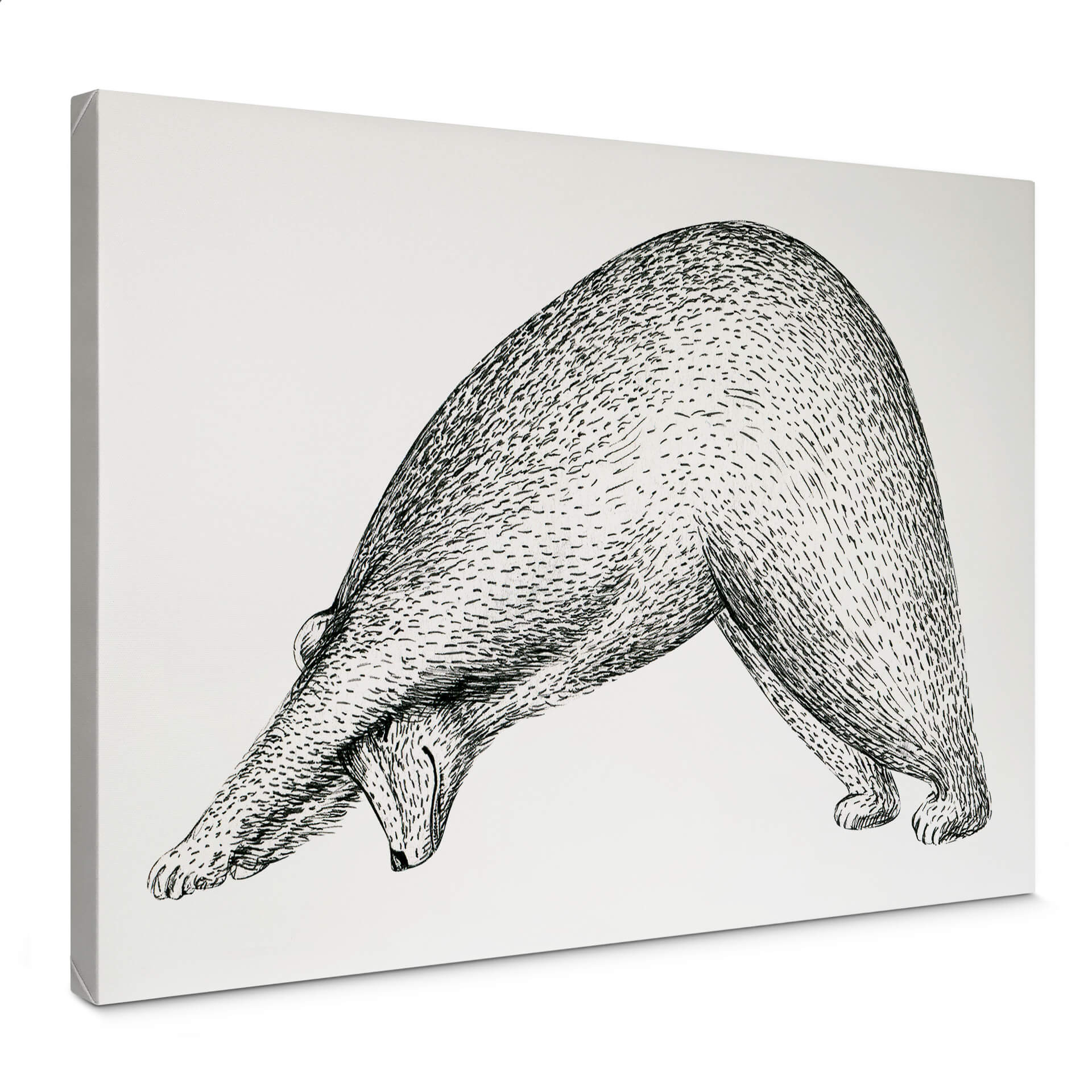 Canvas Kvilis - Yoga Bear 01
