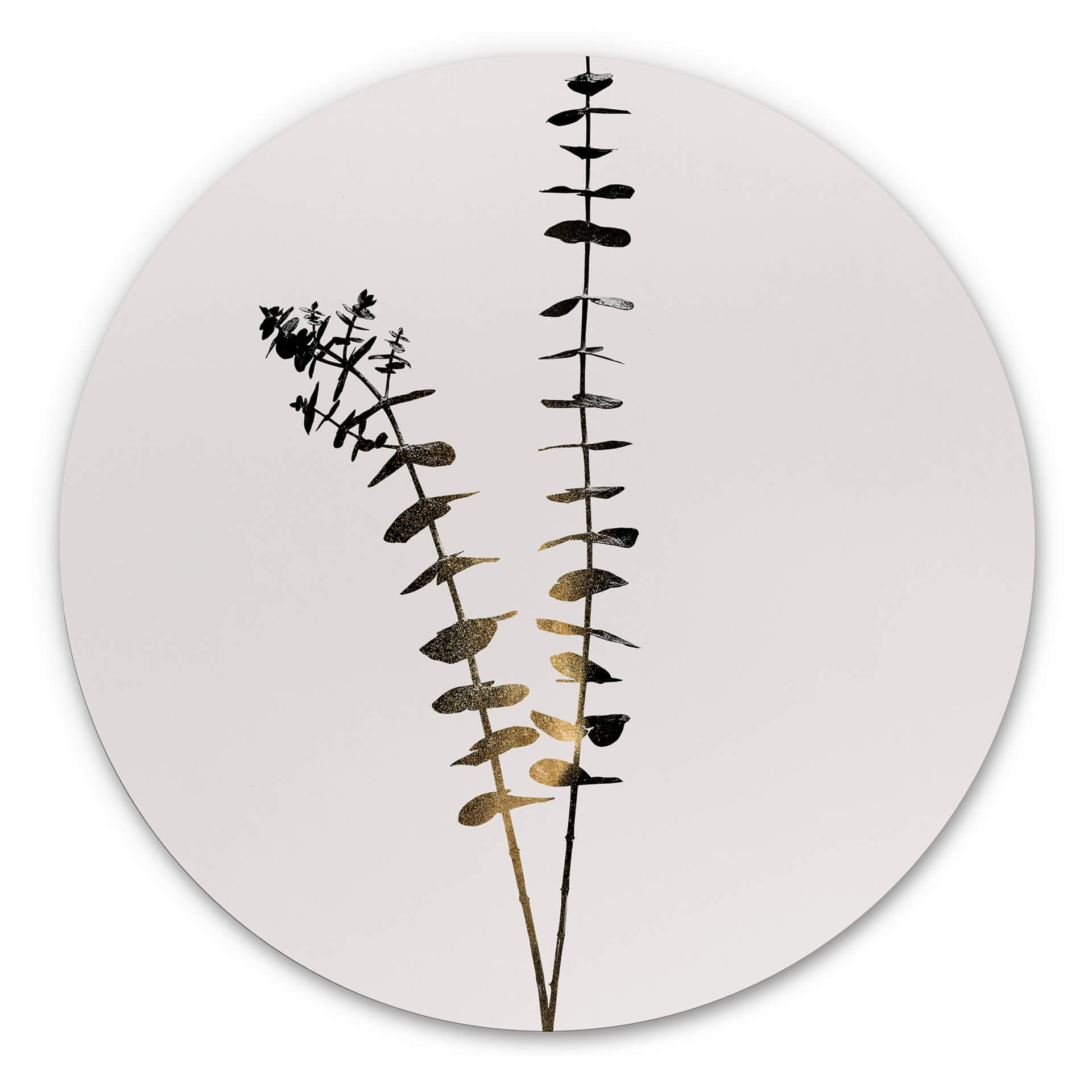 Alu-Dibond Kubistika - Schwarz-Goldener Eukalyptus - Rund – print på aluminium (Alu-Dibond)