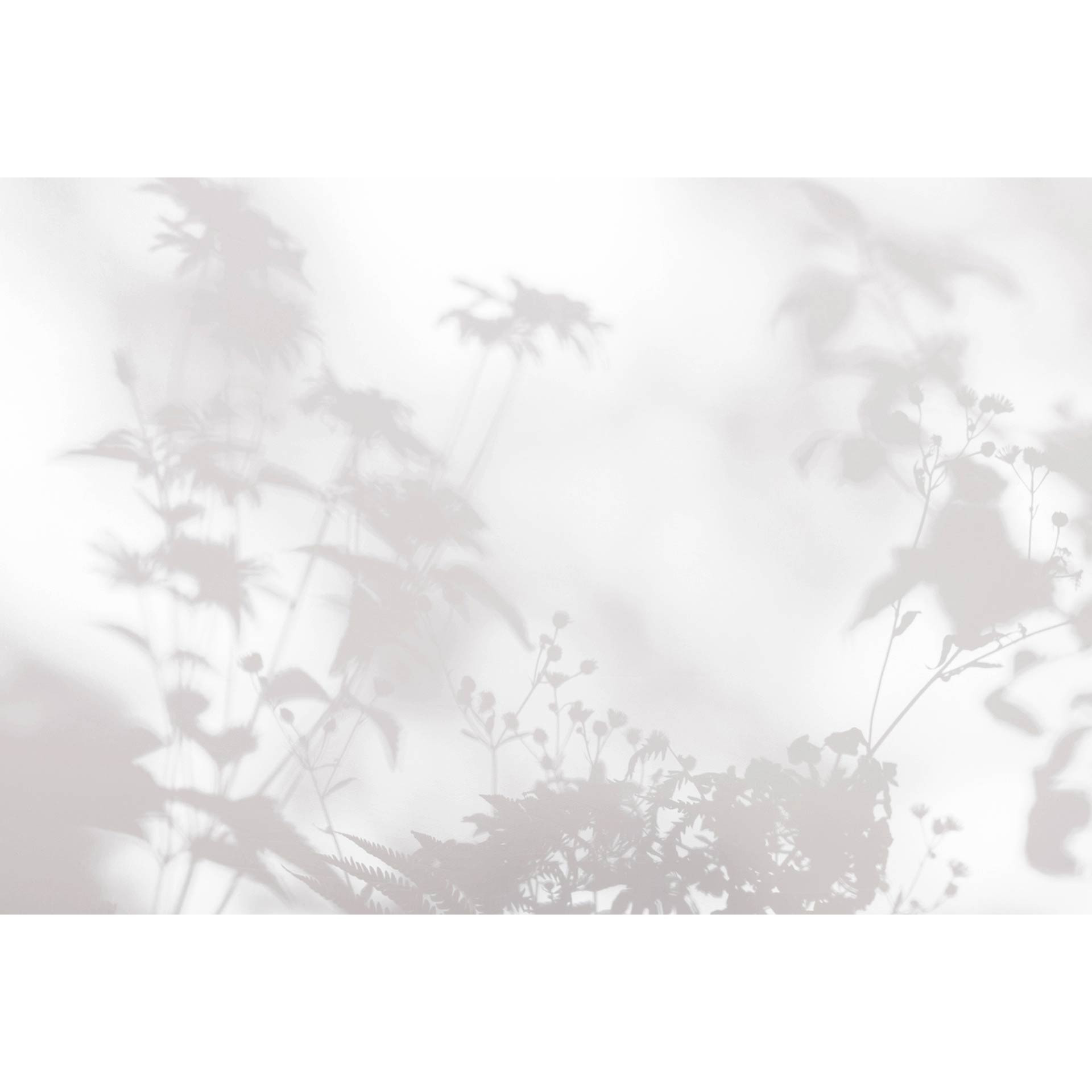 Livingwalls Fotobehang Walls by Patel 3 Shadow Room