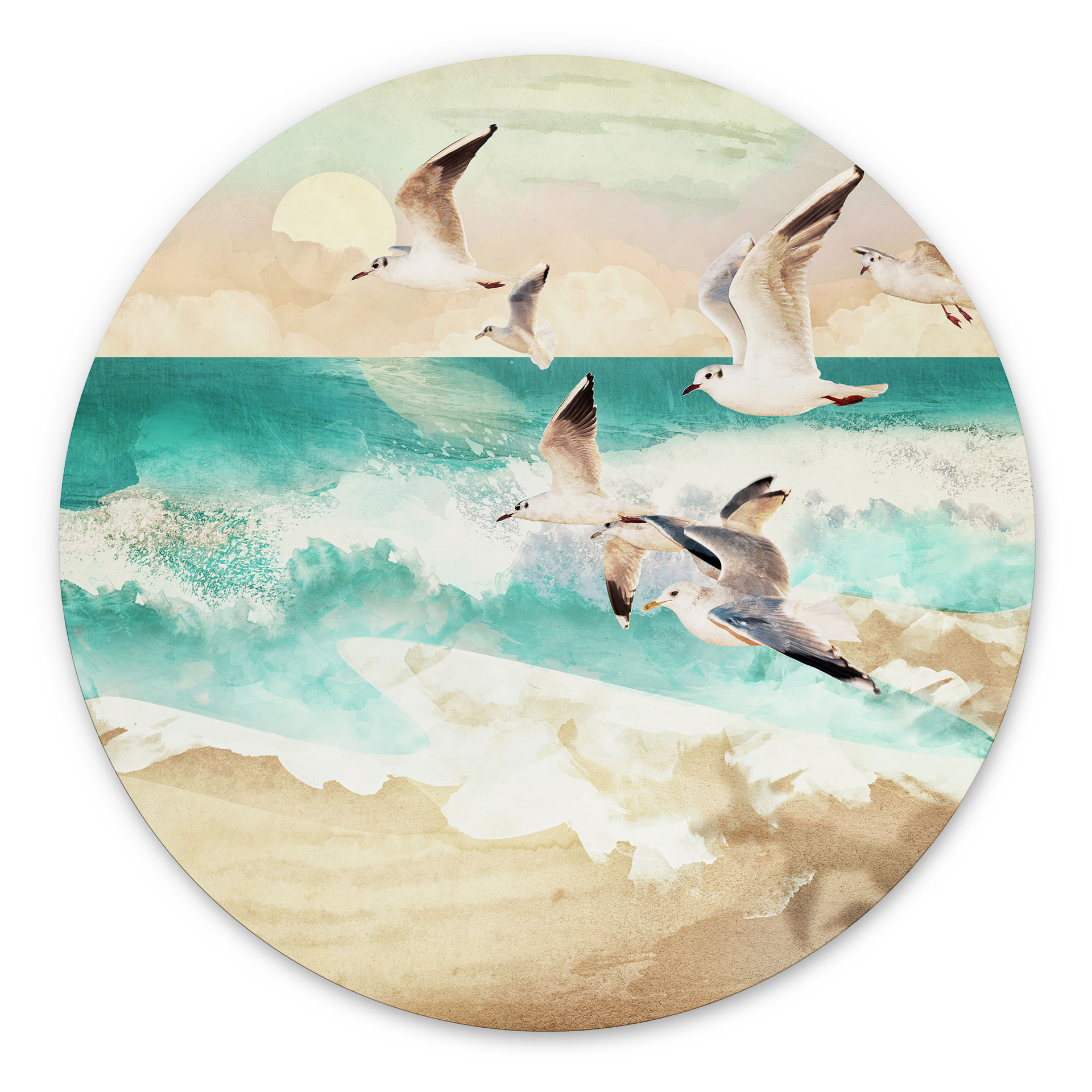 Dibond vægdekoration Måger på stranden - SpaceFrog Designs – print på aluminium (Alu-Dibond)