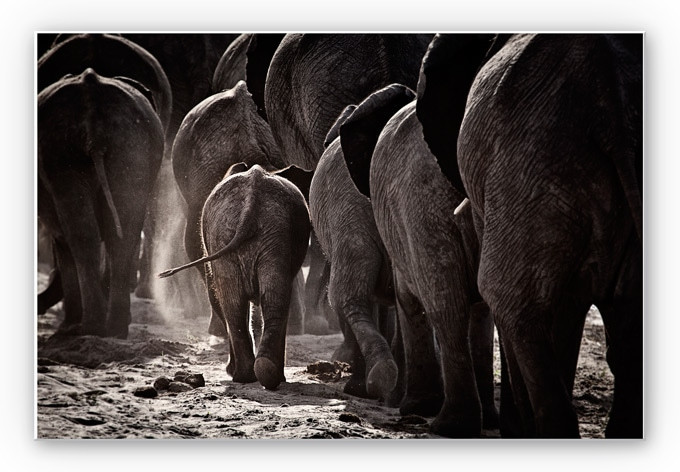 Wanddecoratie McRae – Walking Home