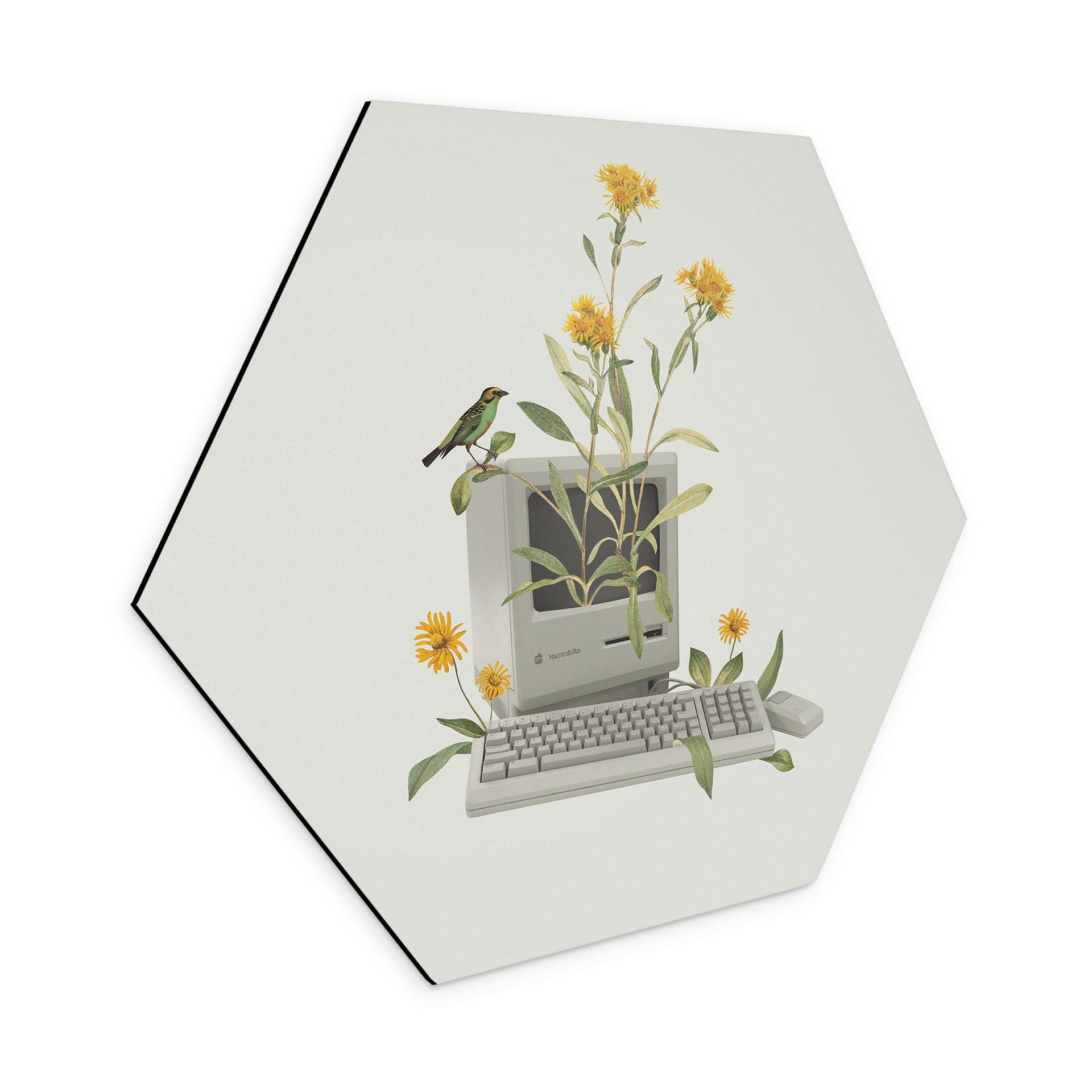 Hexagon-Wandbild Vintage Botanik-Computer - Frida Floral Studio - Alu-Dibond