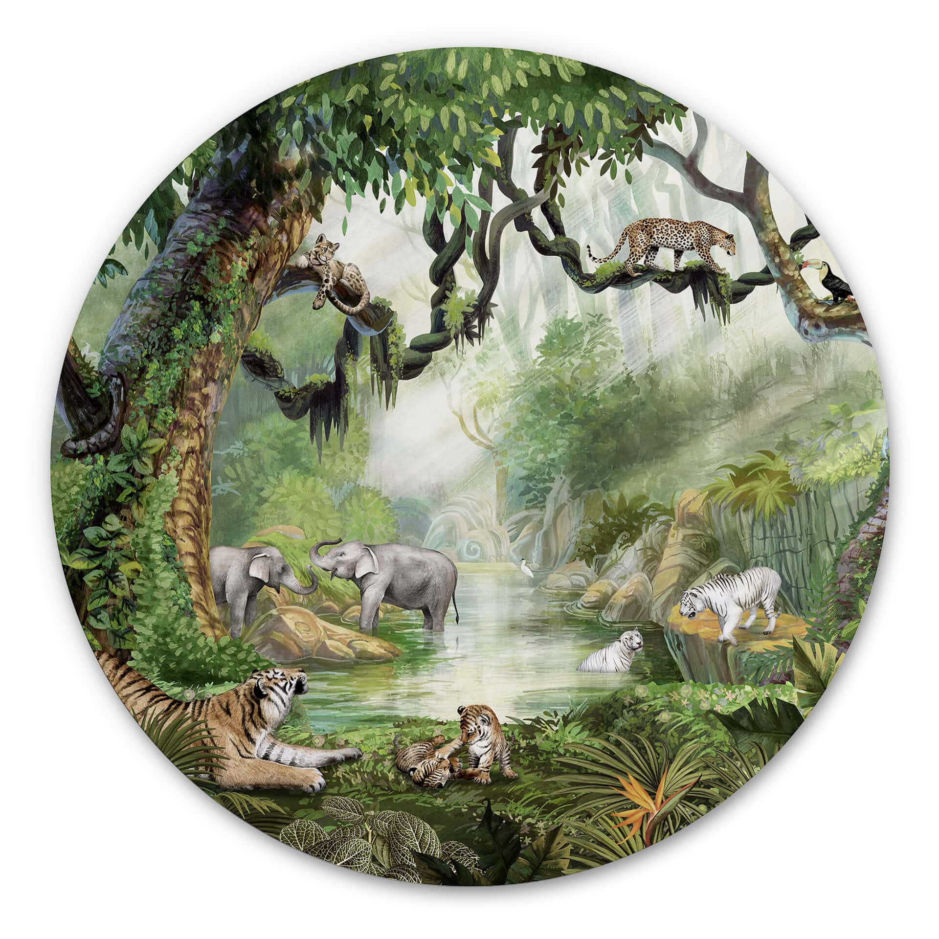 Tableau sur alu-Dibond rond Kikki Belle - Chats de la jungle