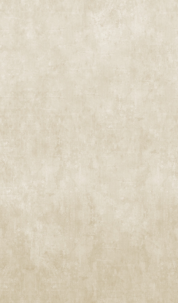 Papier peint aspect béton Beige Ornements 2.70 x 1.59m