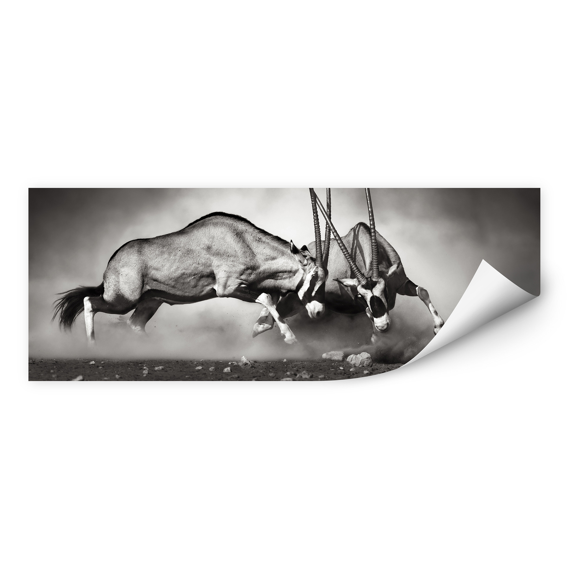Wallprint Das Duell - Panorama