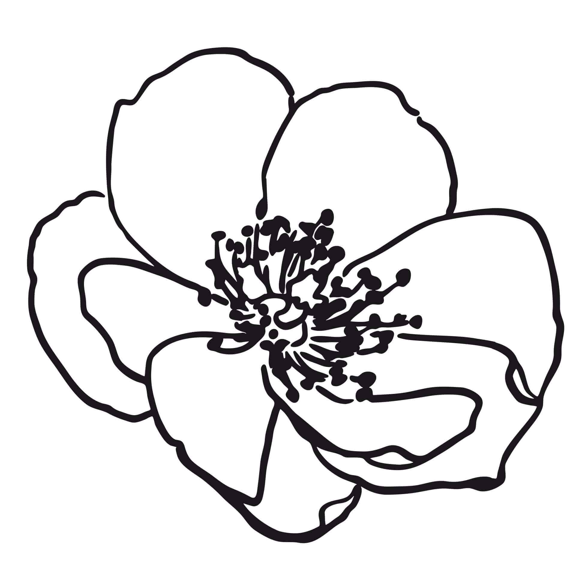 Muursticker Bloemenpracht 02