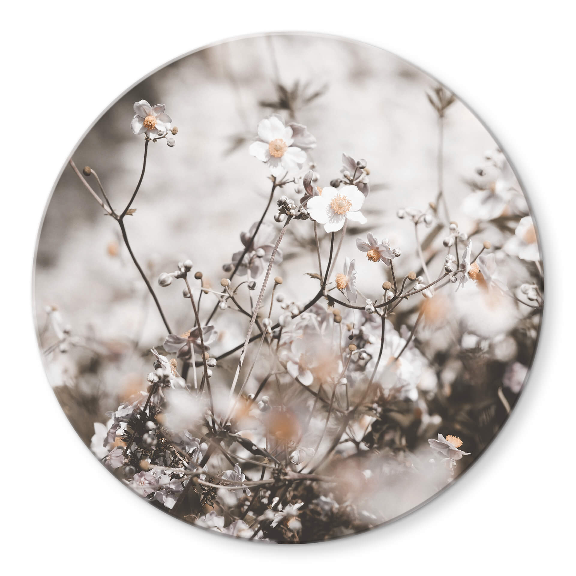 Glasbild Annie - Wildblumen - Rund