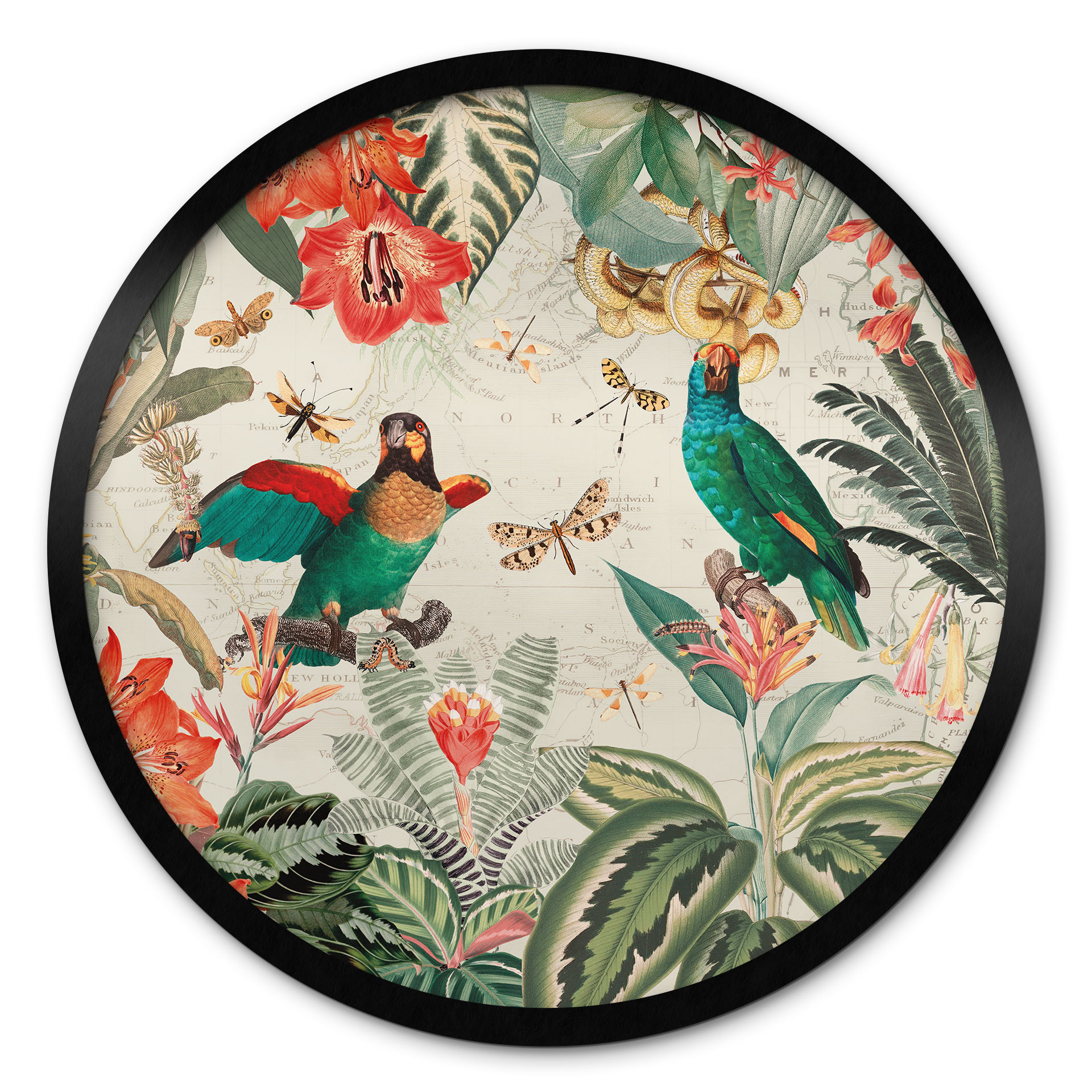 Poster Jungle exotique avec perroquets - UN Designs