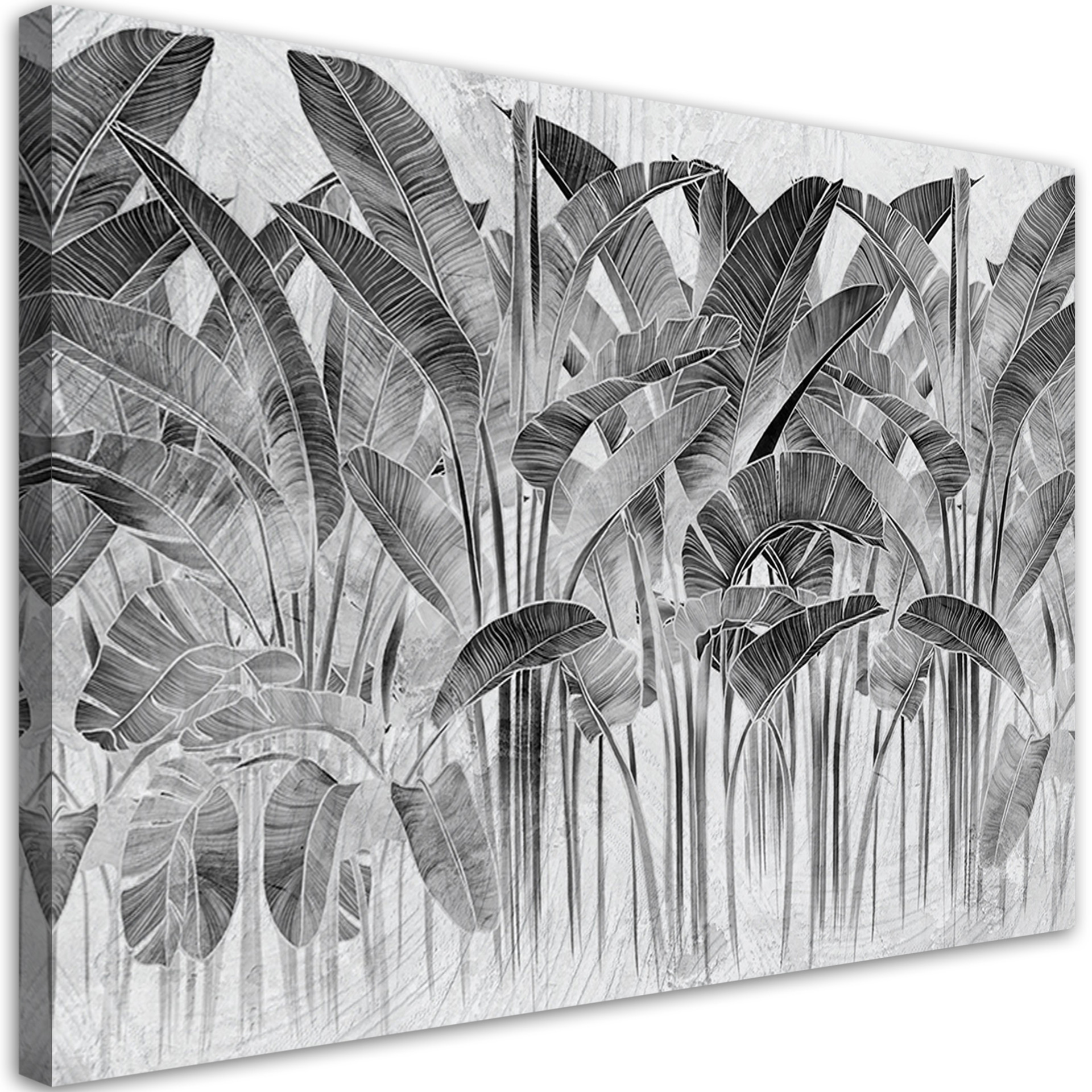 Canvasbillede, Grå bananblade