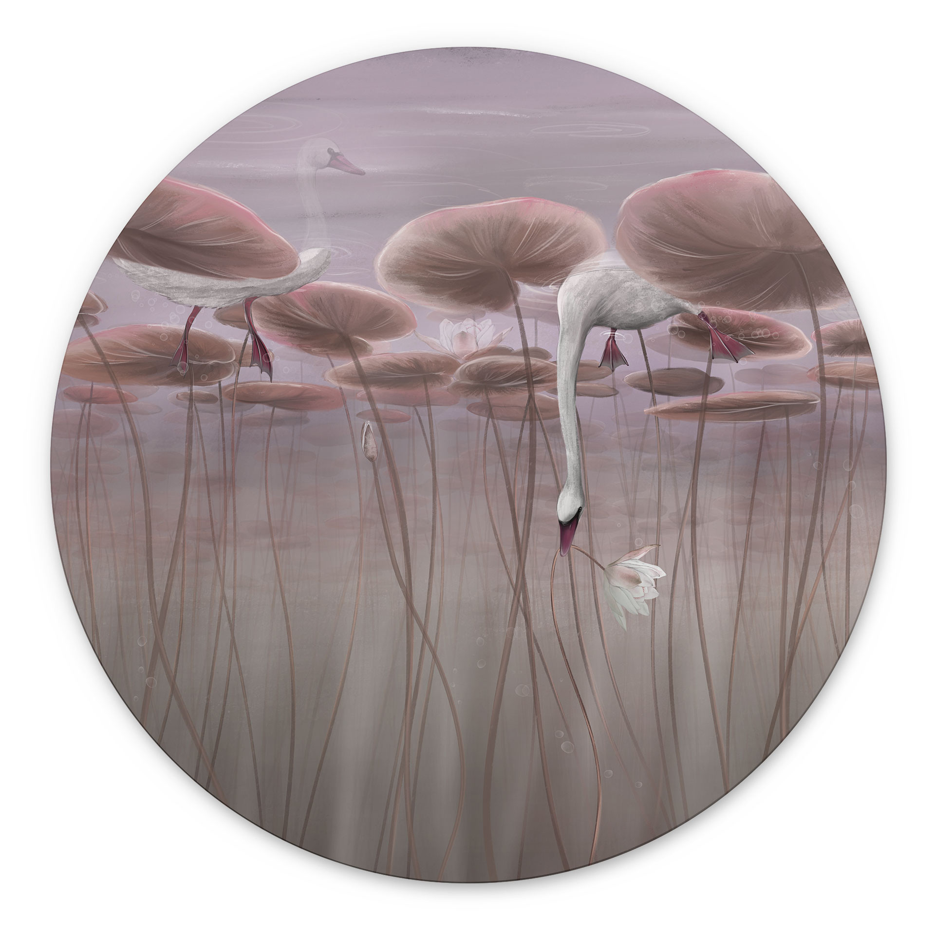 Wanddecoratie lotusbloemen met zwaan in water in schemerroze - Ms Tiff - Alu-Dibond Rond