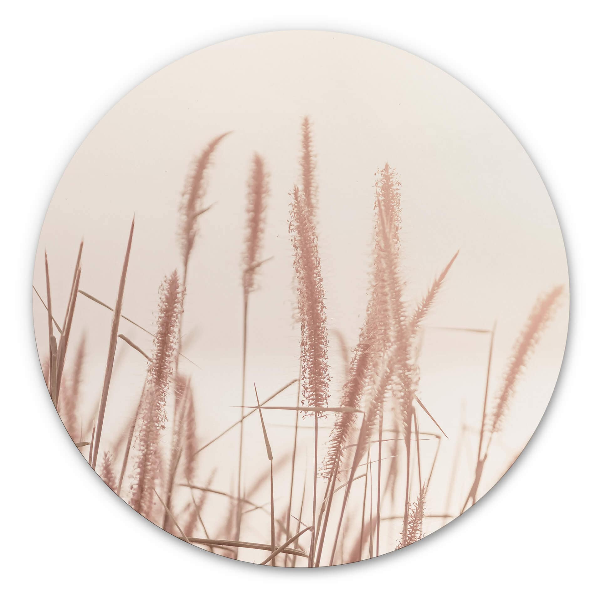 Wandcirkel Grass at Sea