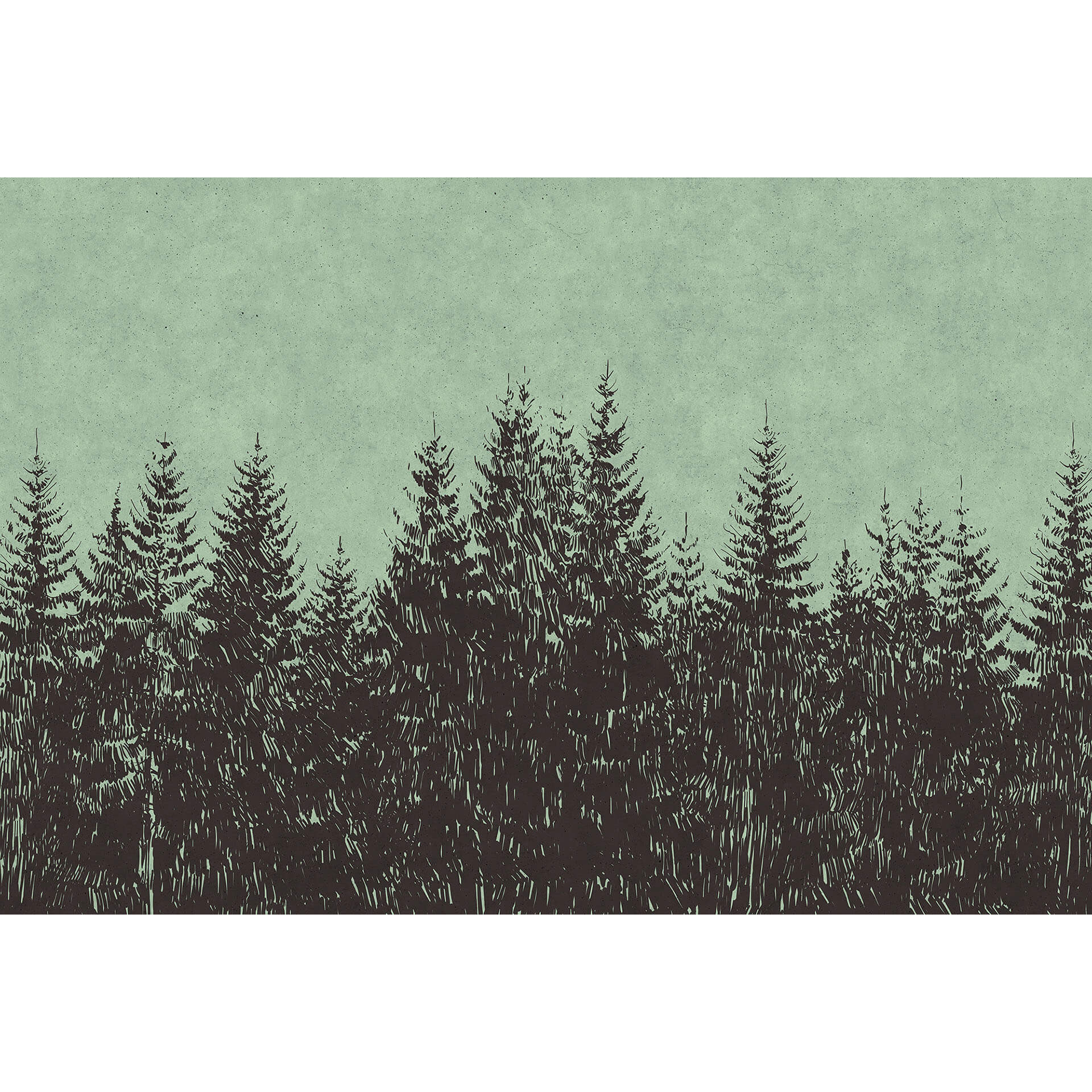 Livingwalls Fotobehang Walls by Patel black forest 2