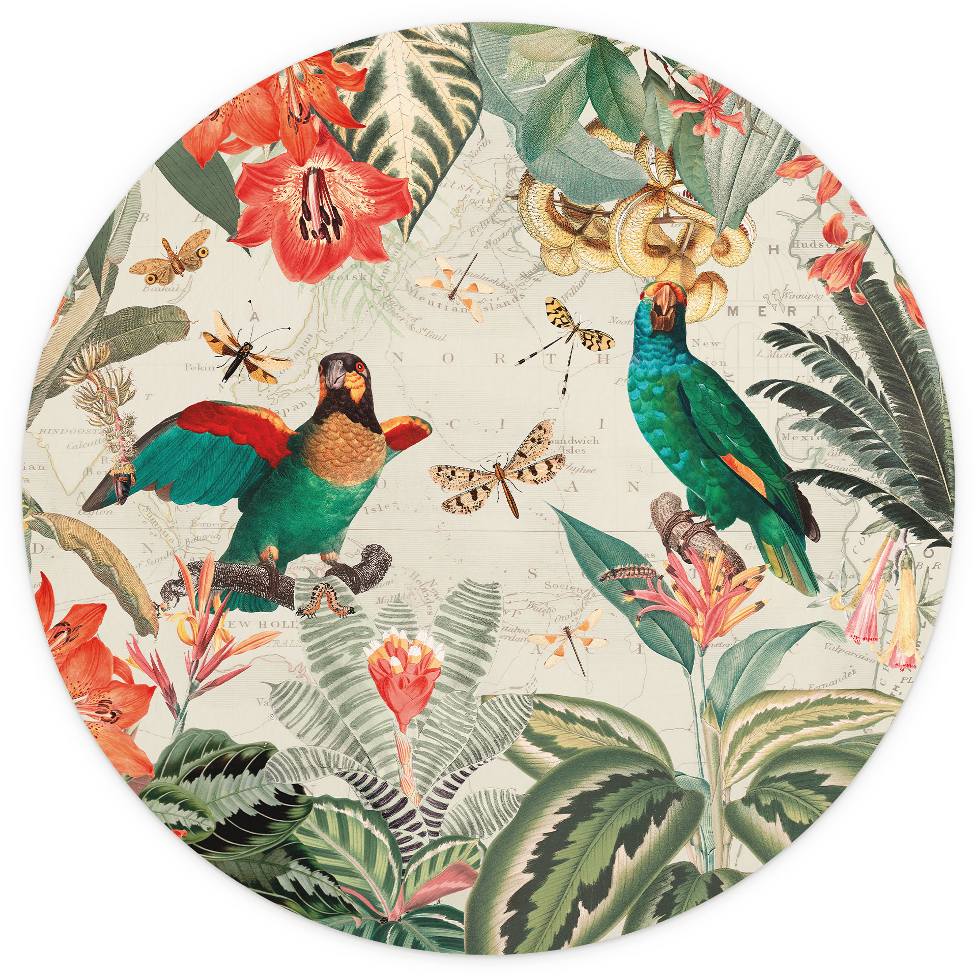Behangcirkel Exotische jungle met papegaaien - UN Designs - vliesbehang/zelfklevend vliesbehang