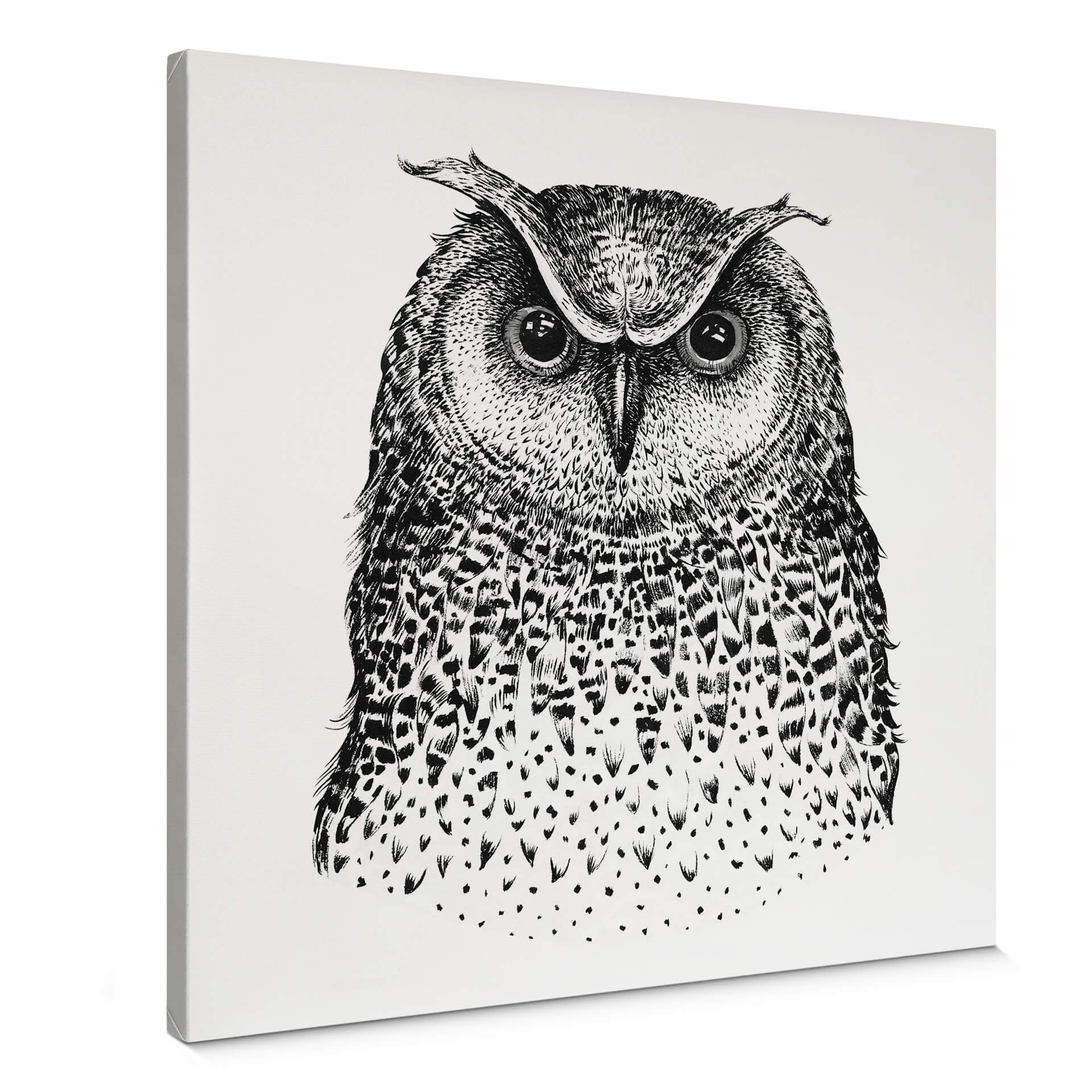 Canvas Kvilis - Owl 01