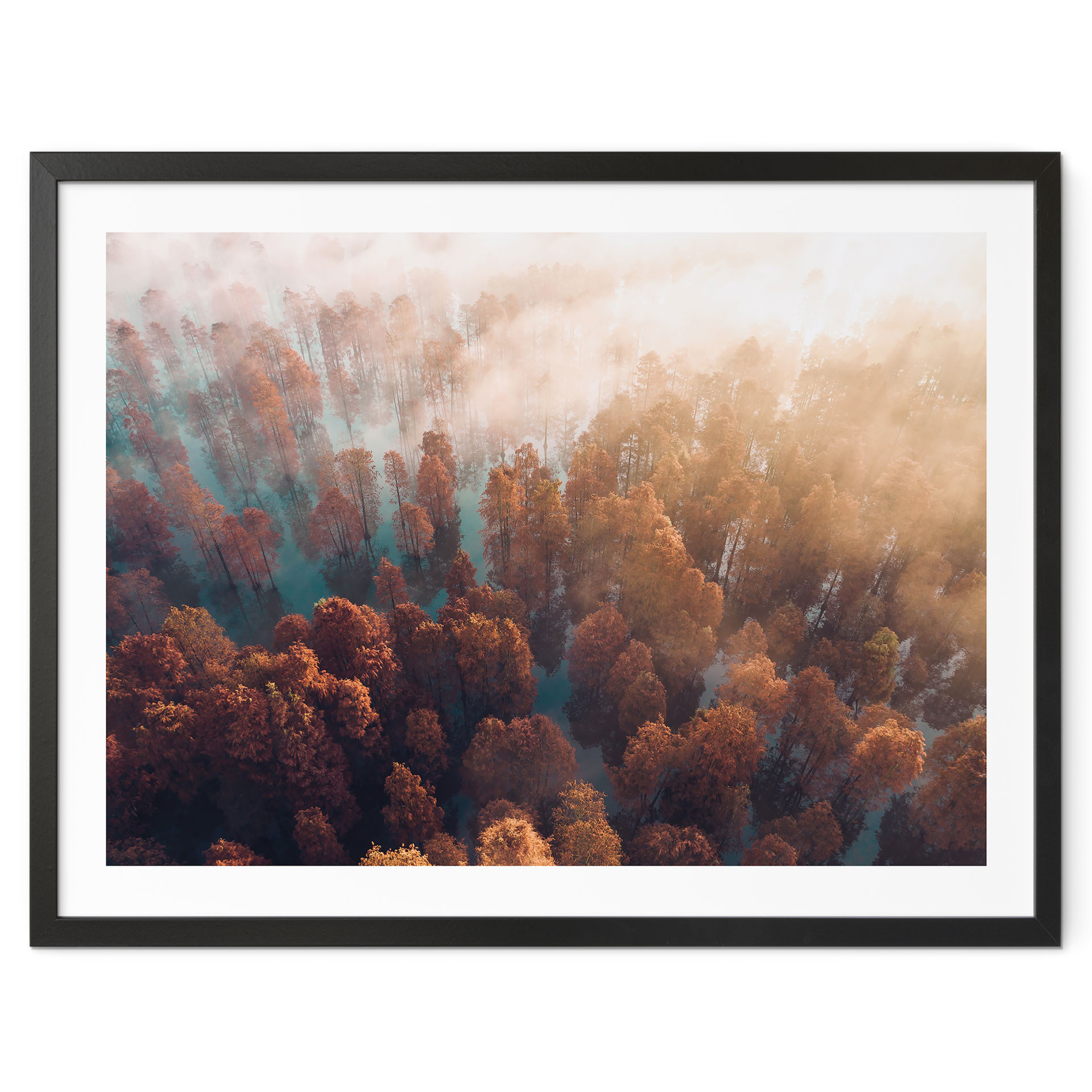 Poster Forêt d'automne dans le brouillard - Ioricon
