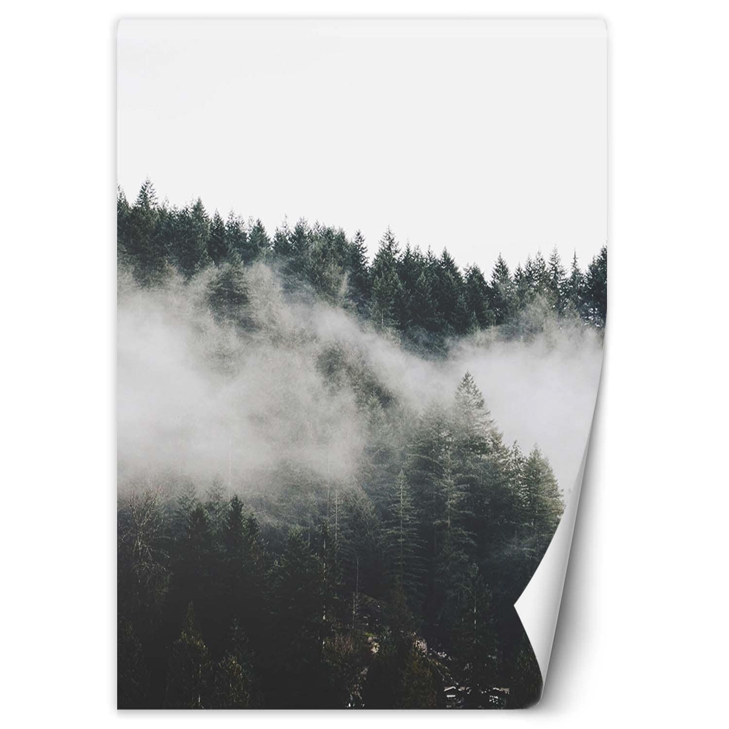 Fototapete, Wald im Nebel Bergen