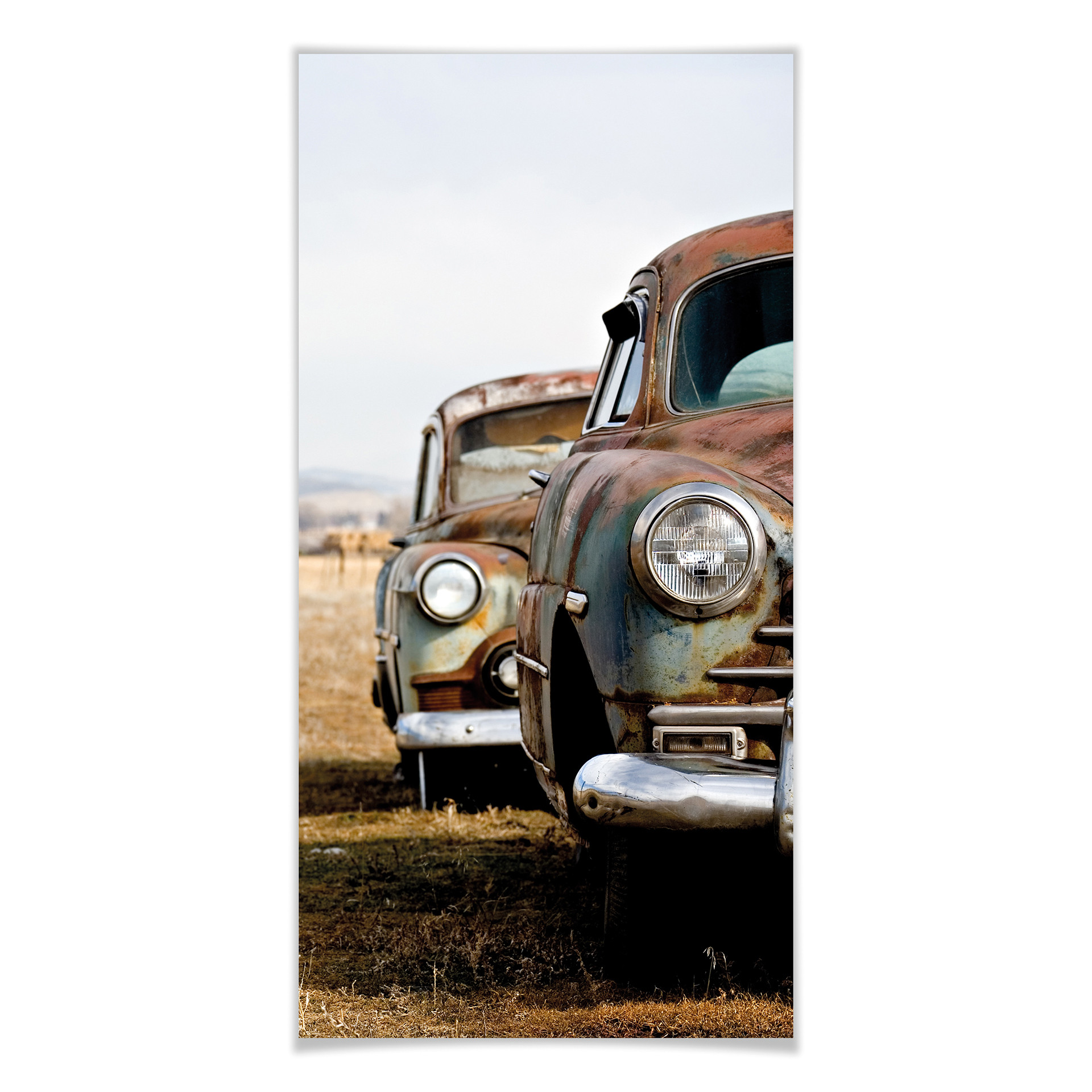 Poster - Vecchie auto arrugginite - panoramica